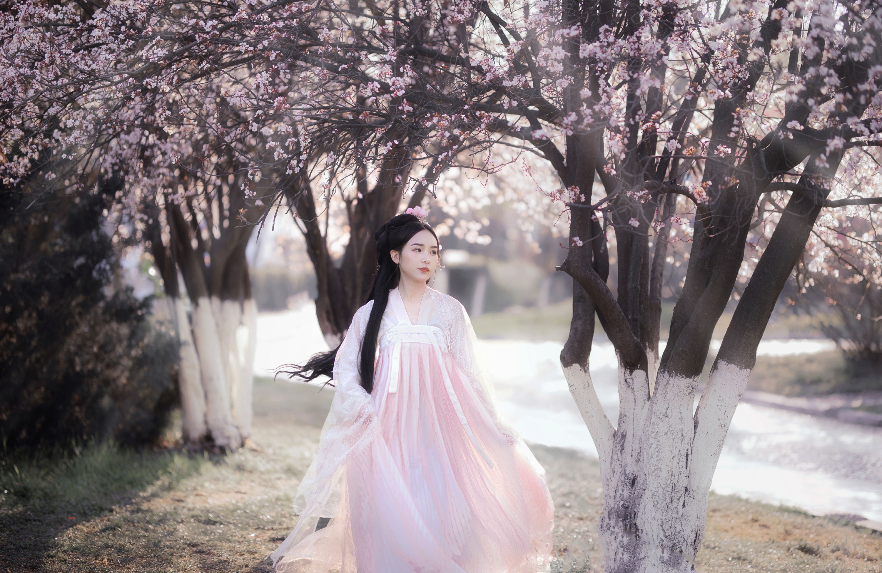 缱绻馥郁- – 《红叶李》[20P]