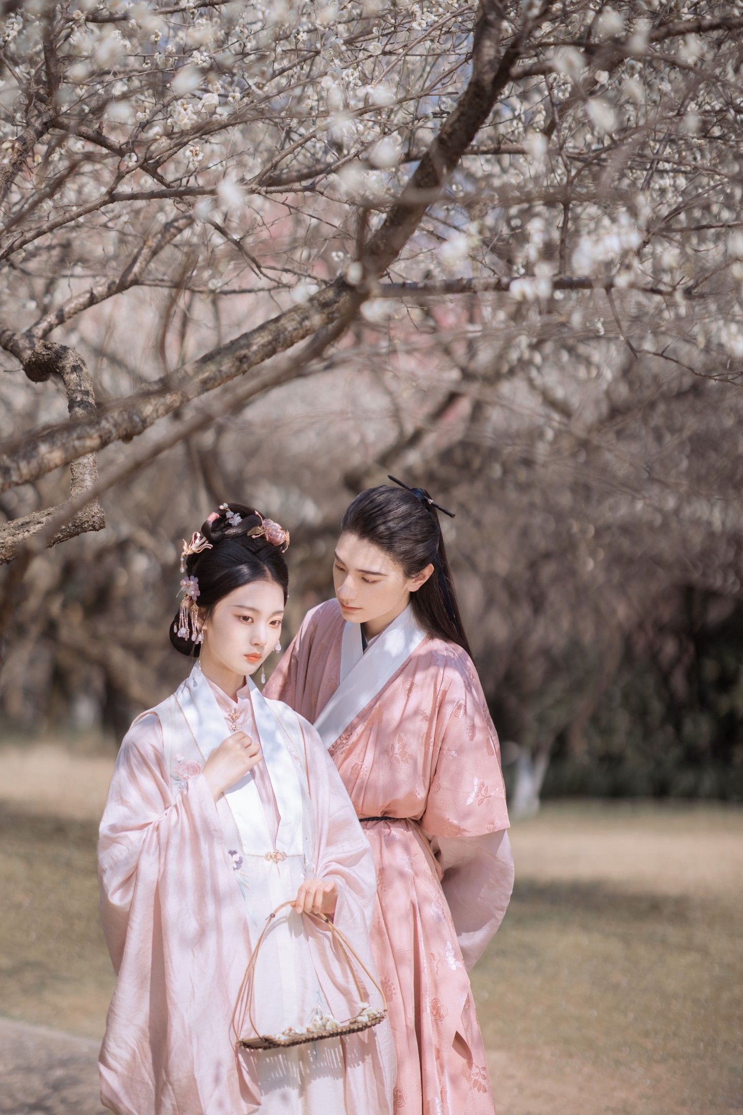 汀贰 九卿ikame – 《折梅赠君》[39P]