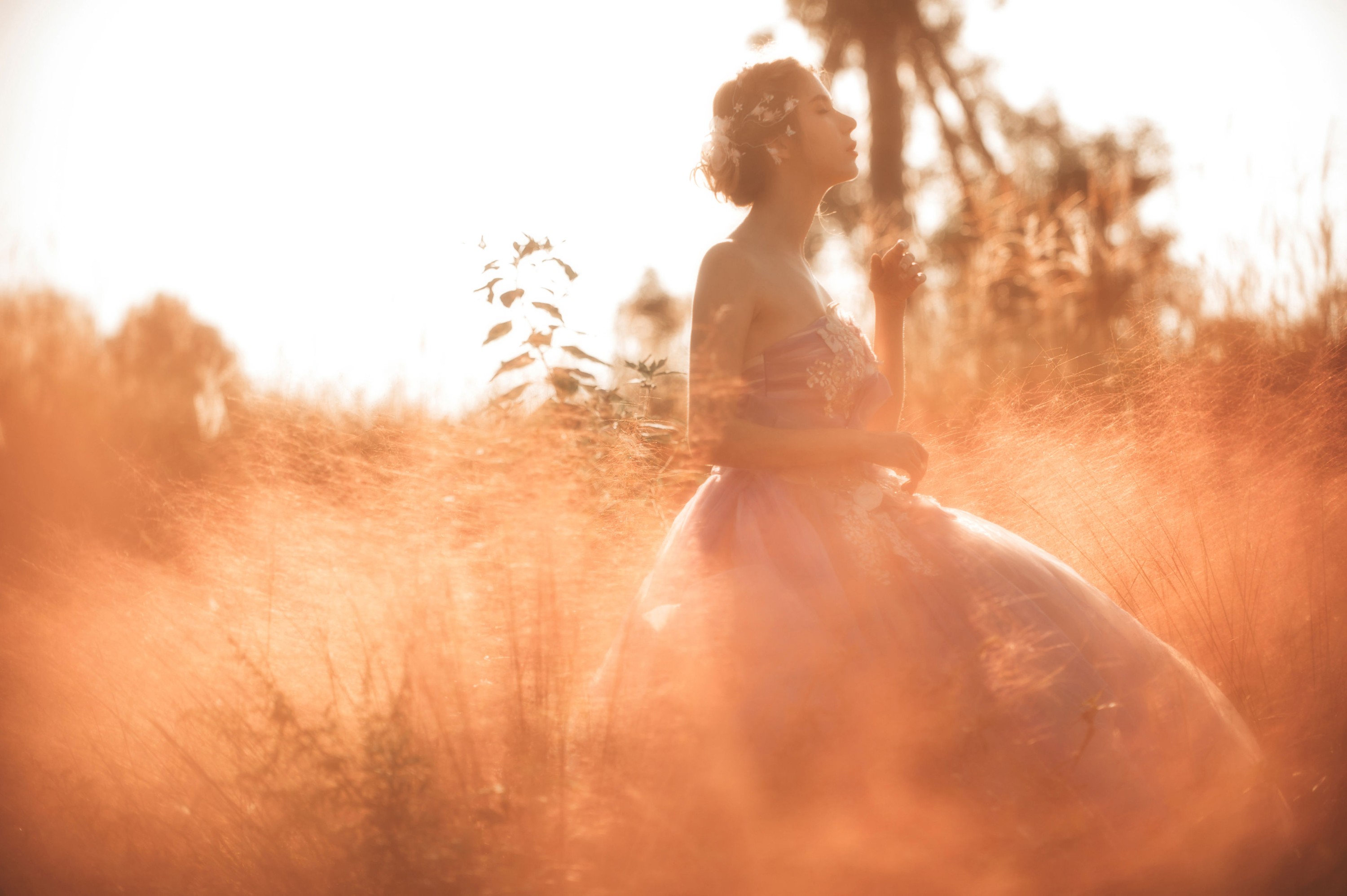 Jesse – 《日不落》[24P]