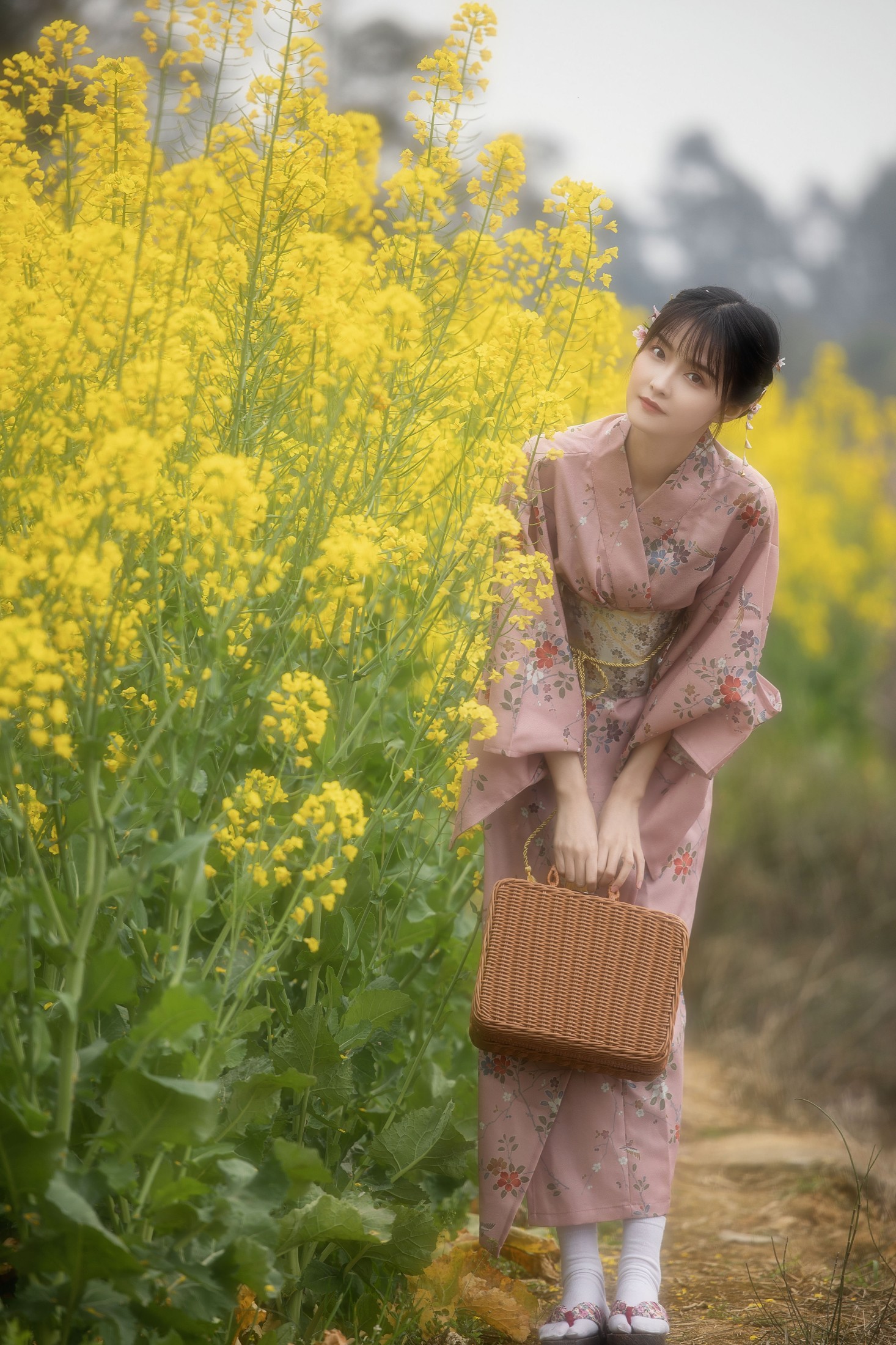 一一 – 《油菜花》[26P]