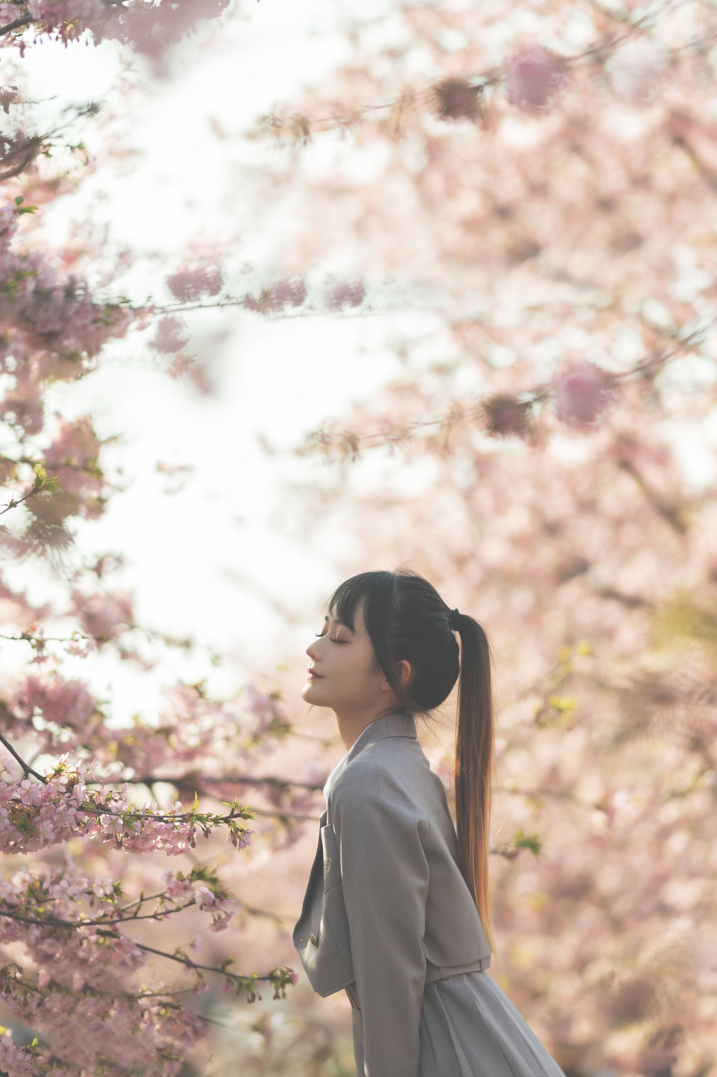 兔子Zzz不吃胡萝卜 – 《樱之声》[27P]