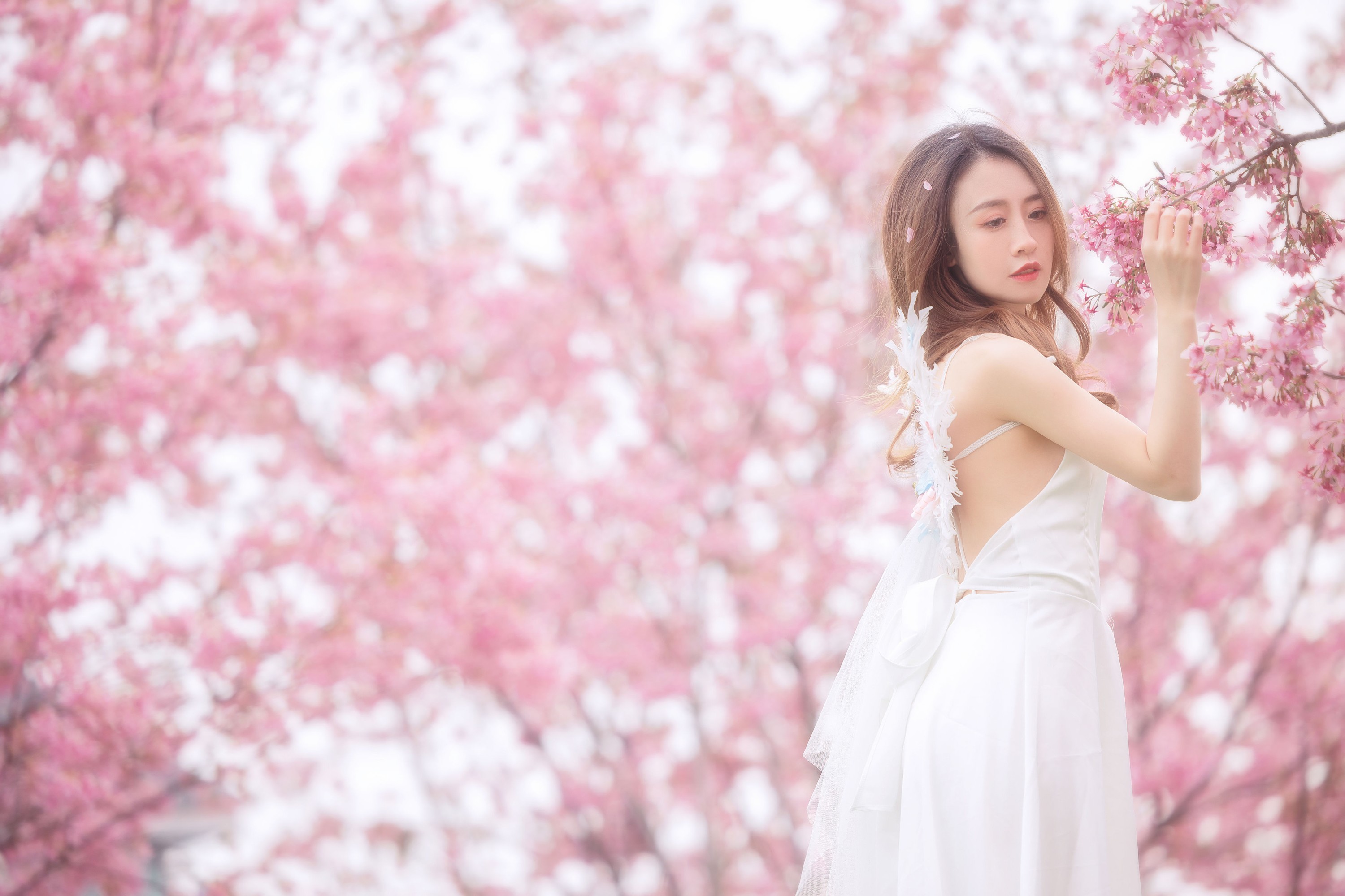 子依 – 《樱花》[29P]