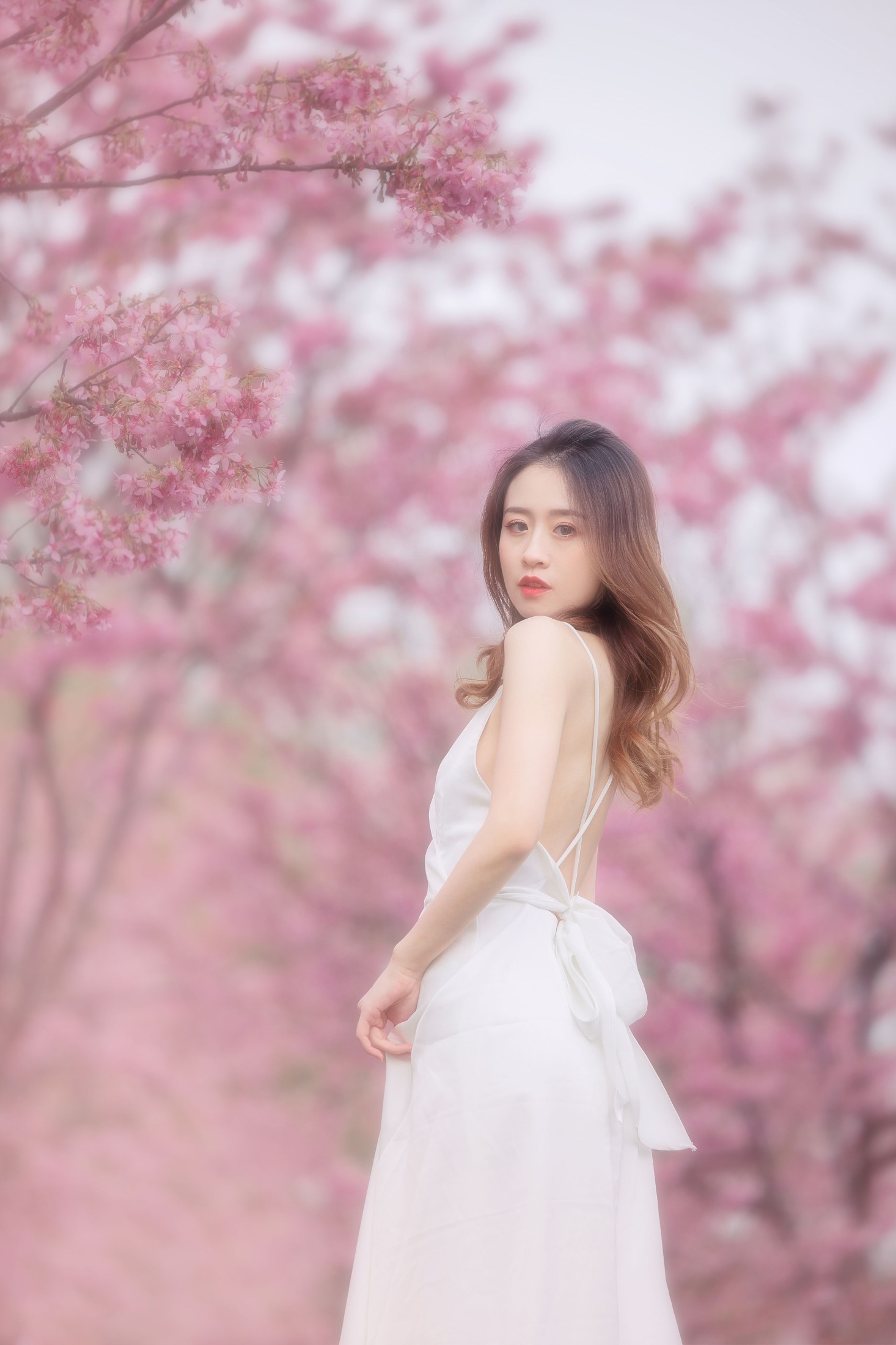 子依 – 《樱花》[29P]