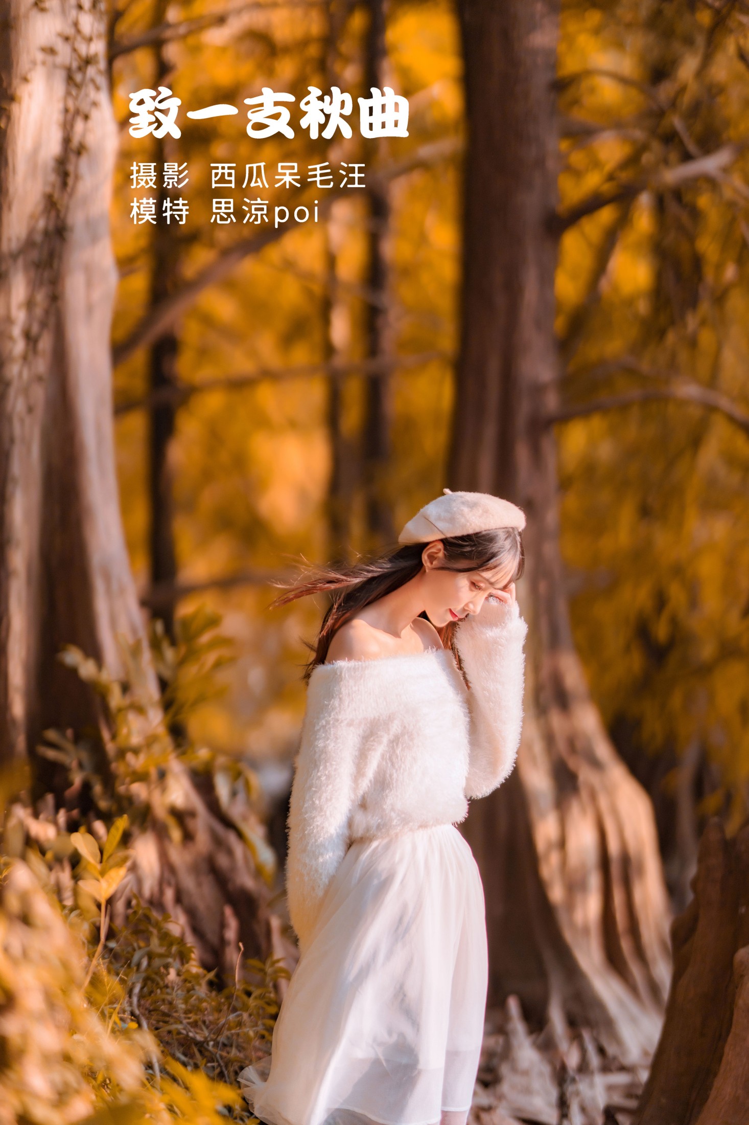 思涼poi – 《致一支秋曲》[36P]