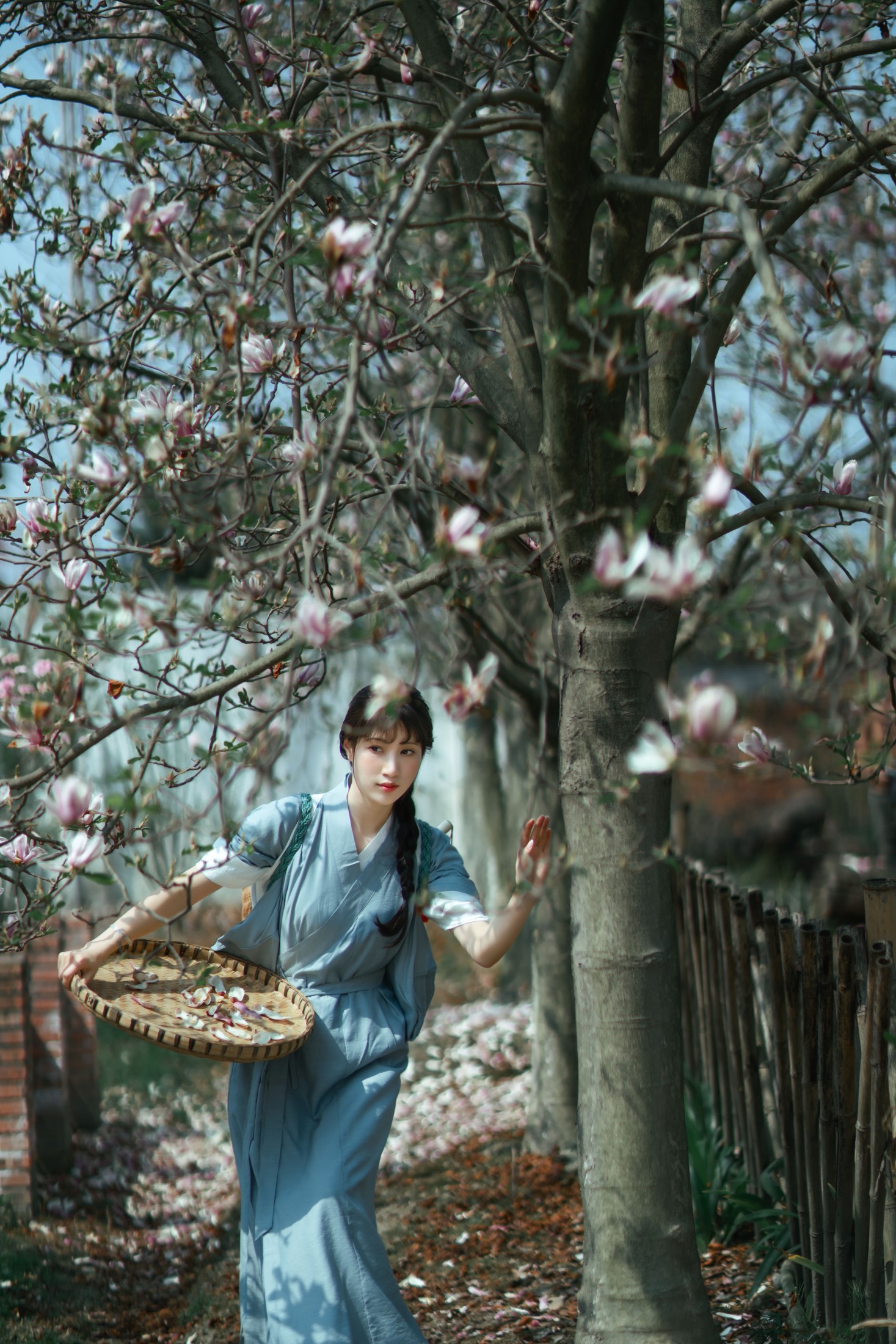 初茶 – 《春花落》[35P] 插图5