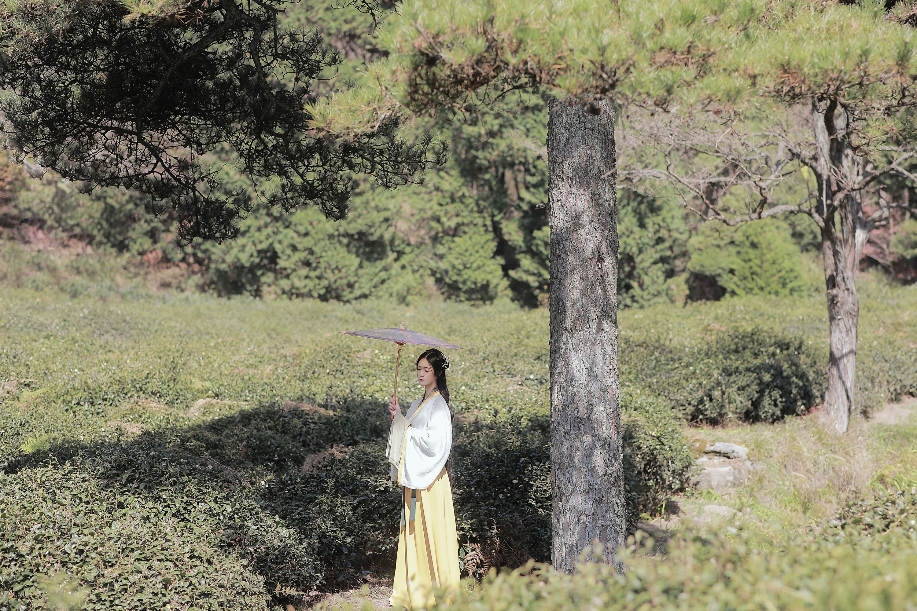 之楠楠楠 – 《采茶女》[22P]