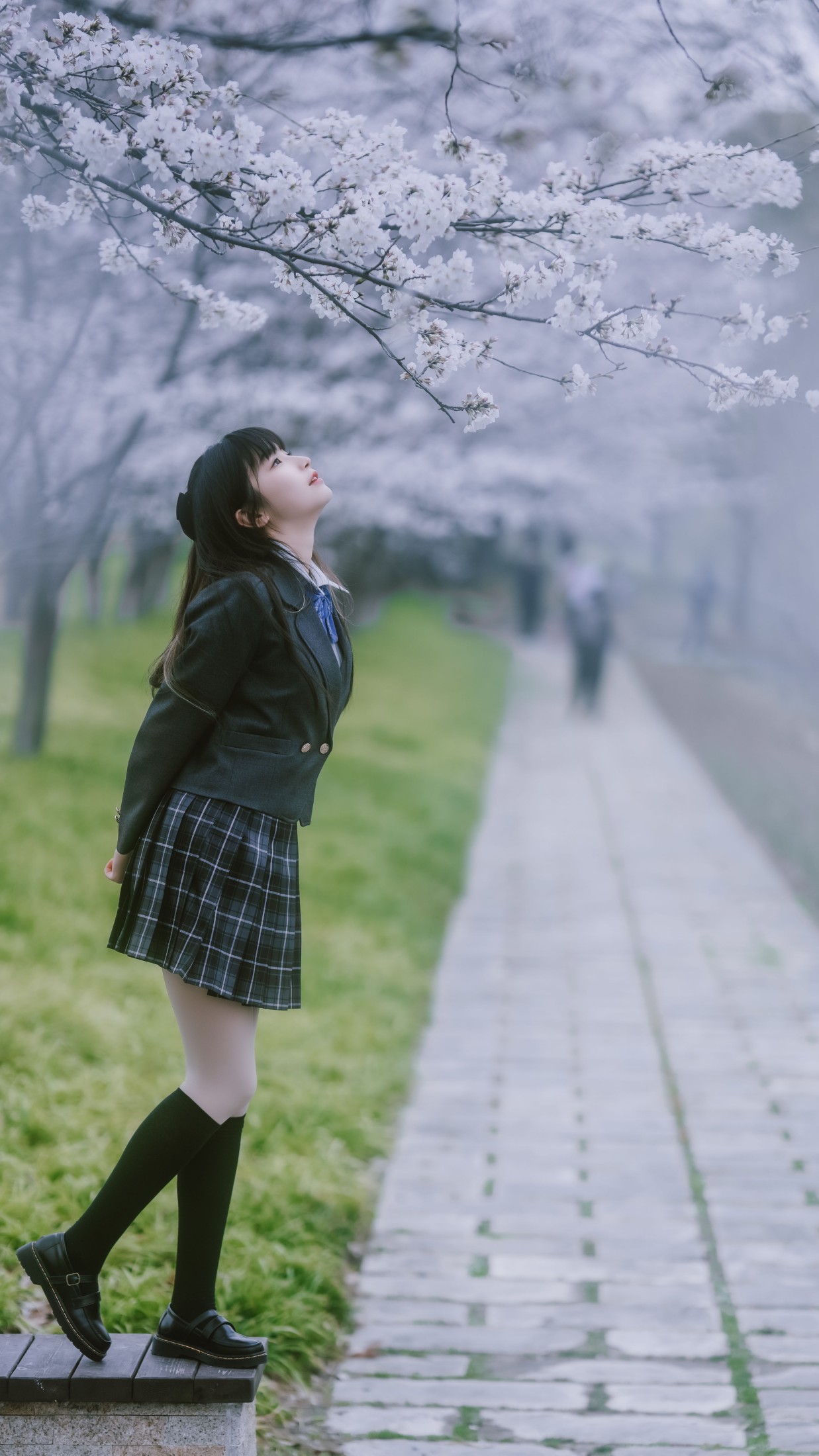 ZERO – 《春日限定》[56P]