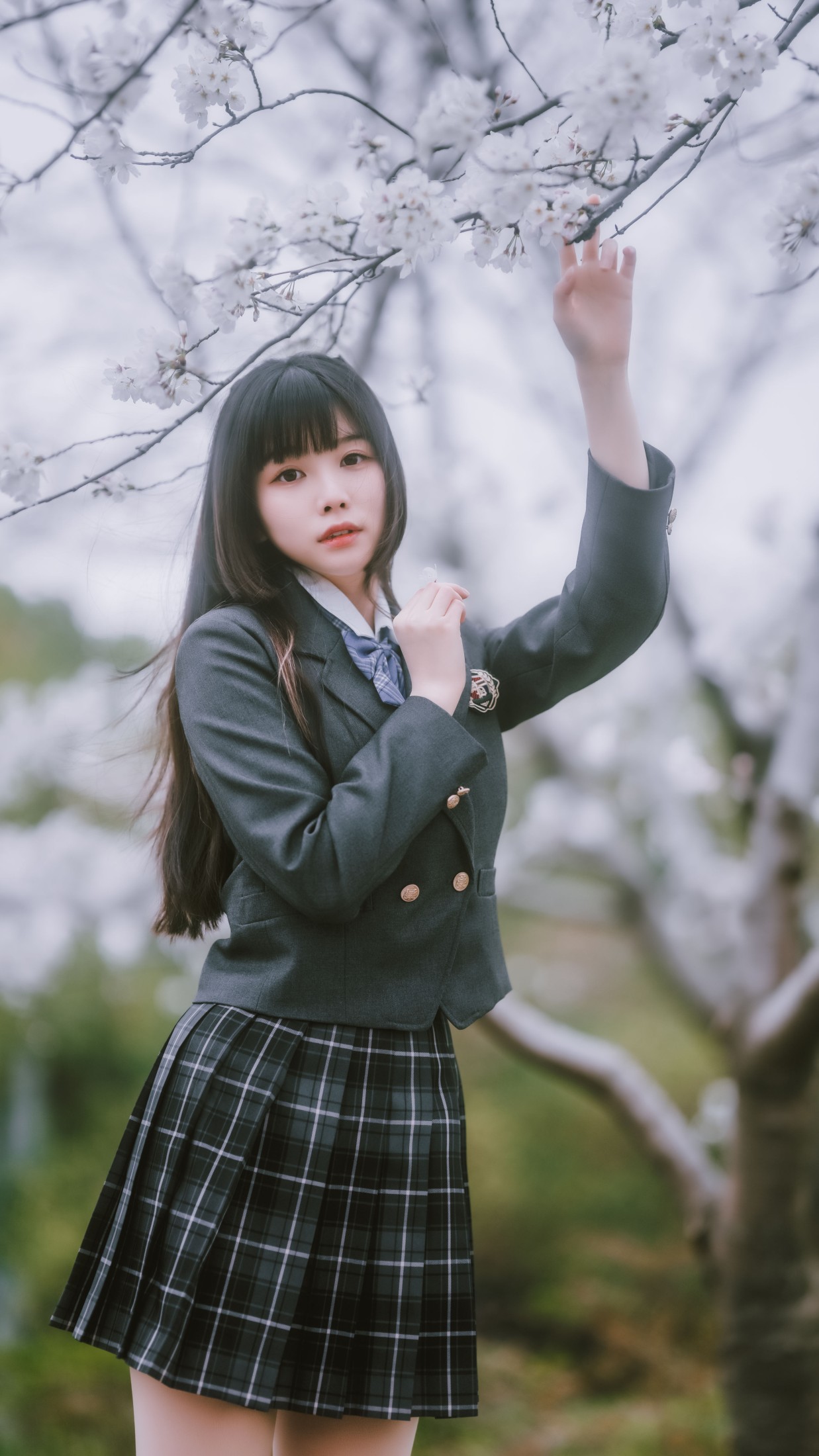 ZERO – 《春日限定》[56P]