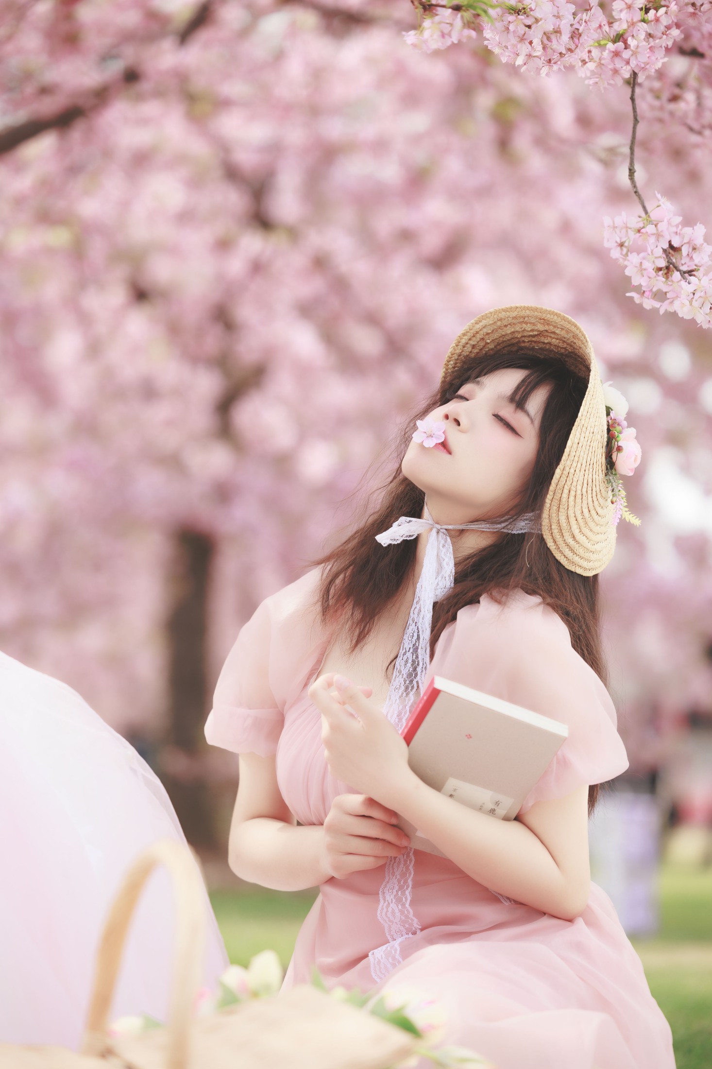 贰加六 – 《樱之浪漫》[24P]