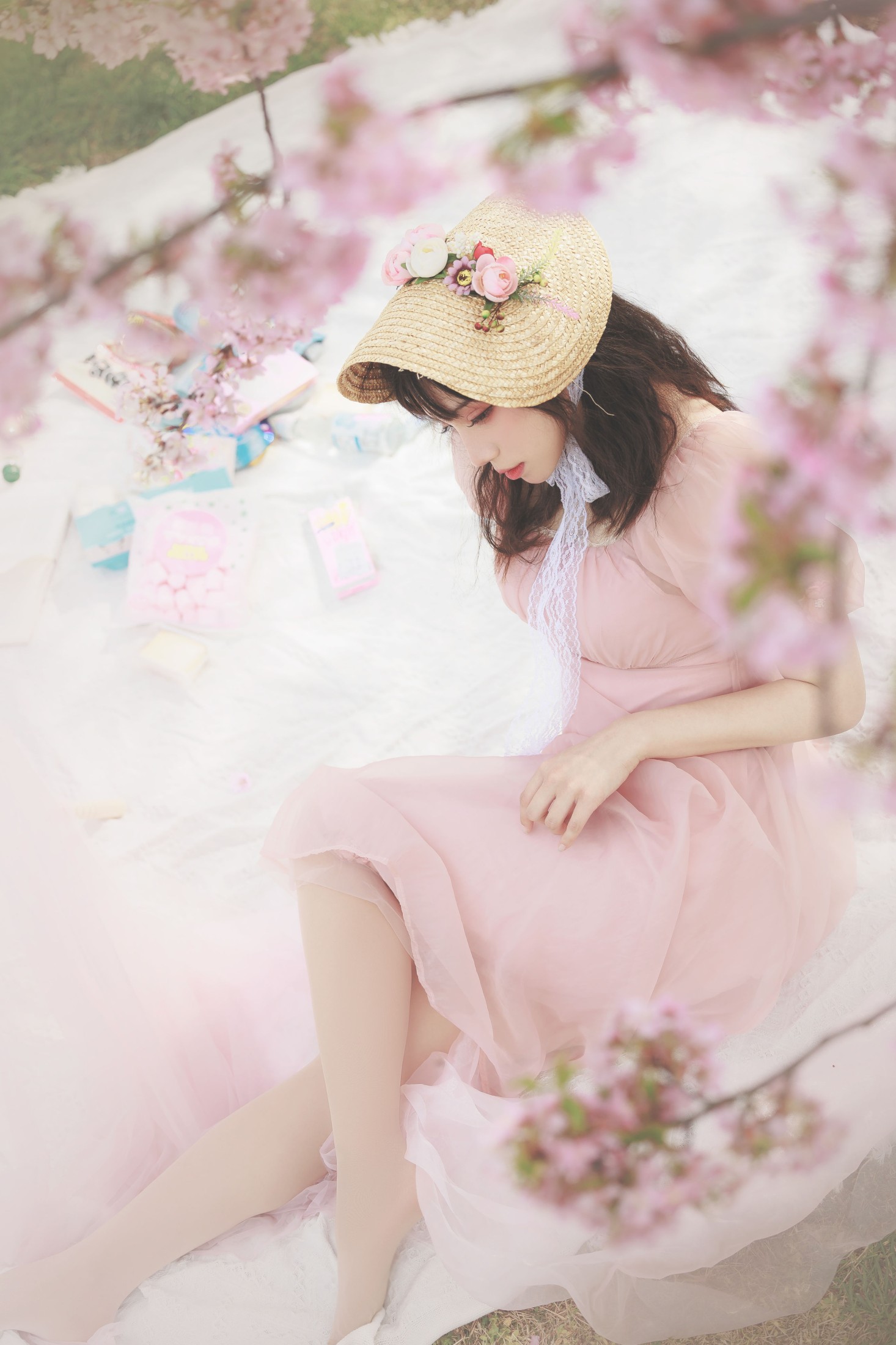 贰加六 – 《樱之浪漫》[24P]