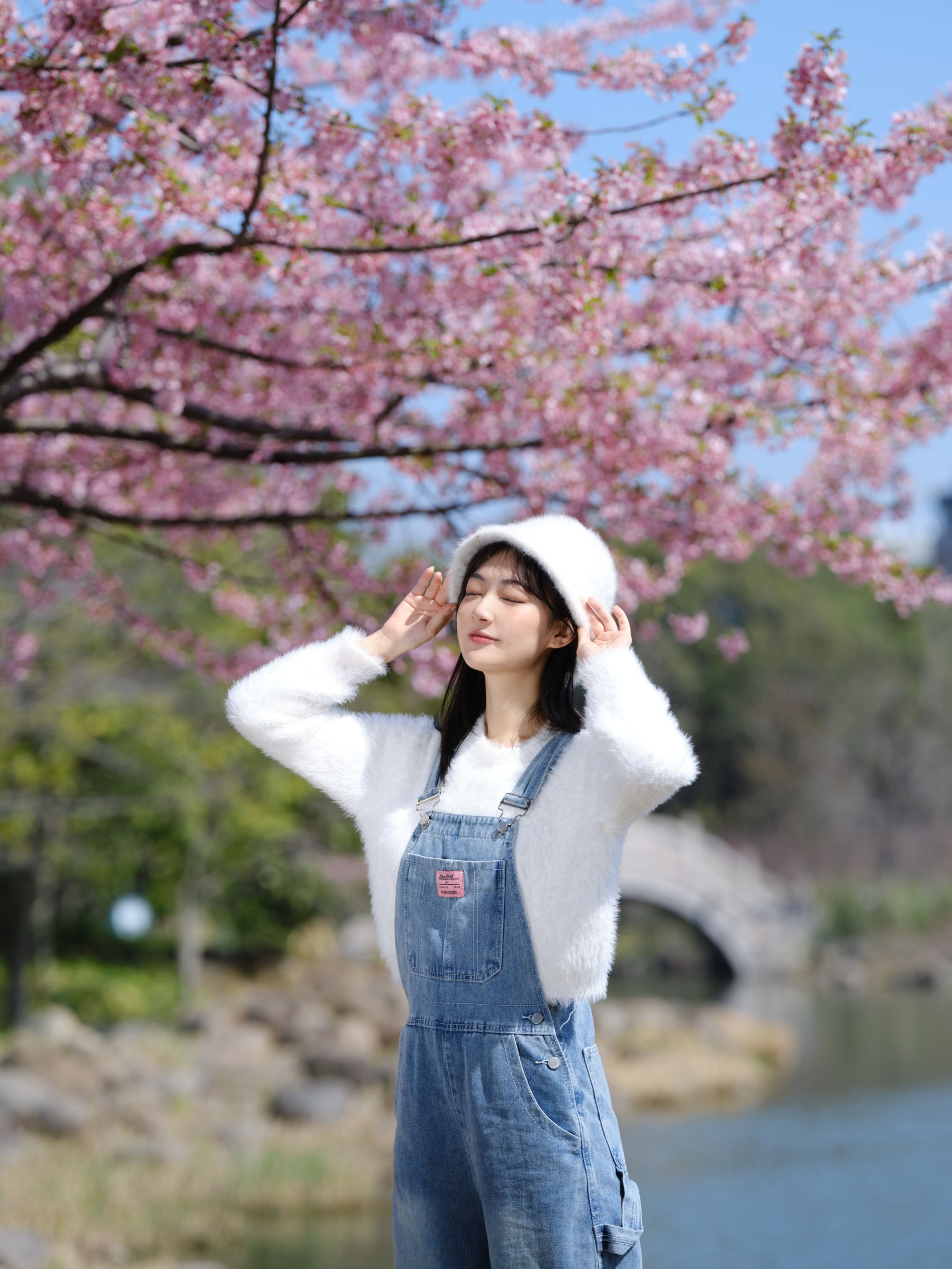 飞鸟咕咕- – 《早樱》[23P]