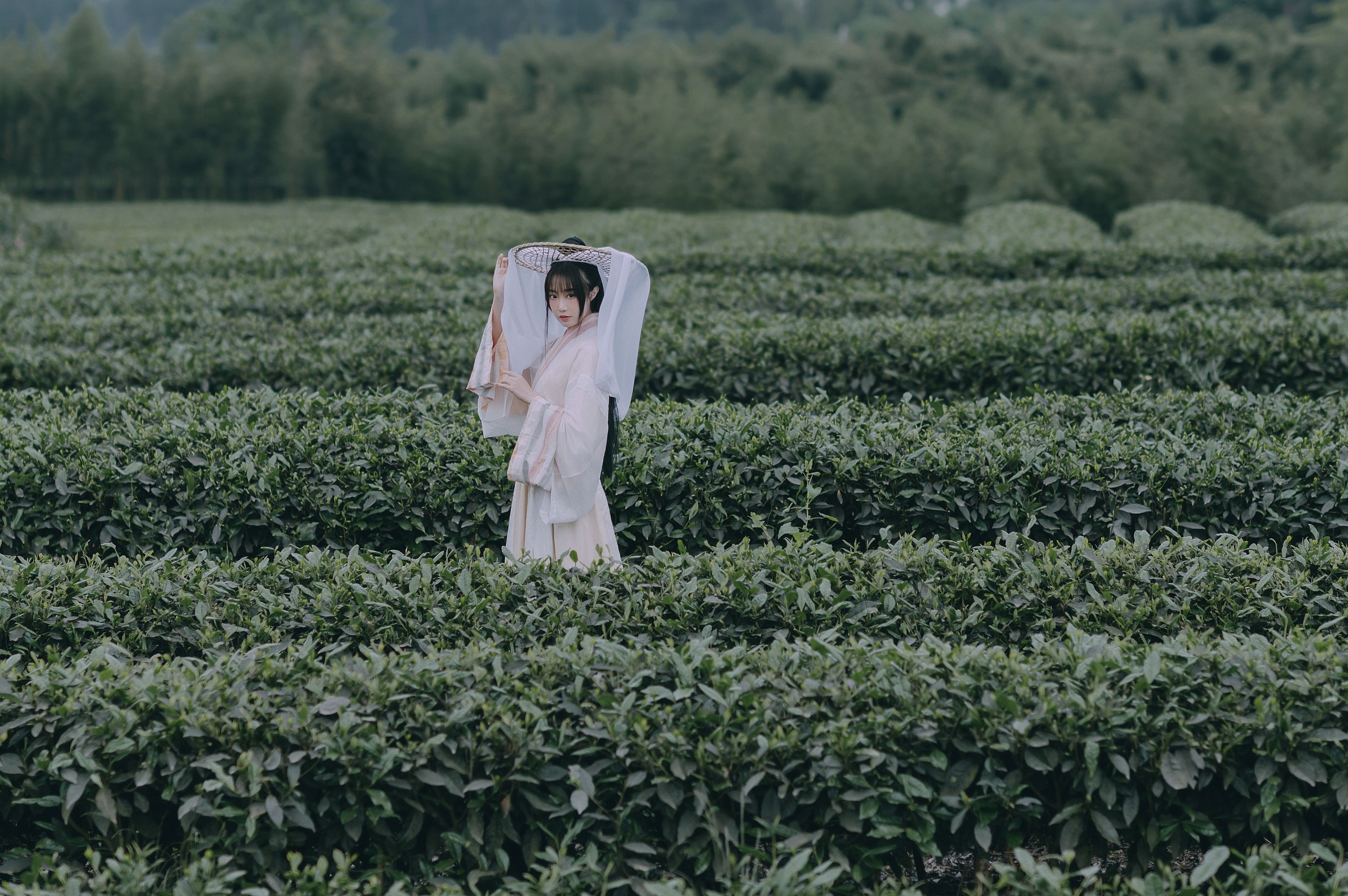 蹭饭 – 《采茶东篱下》[20P]