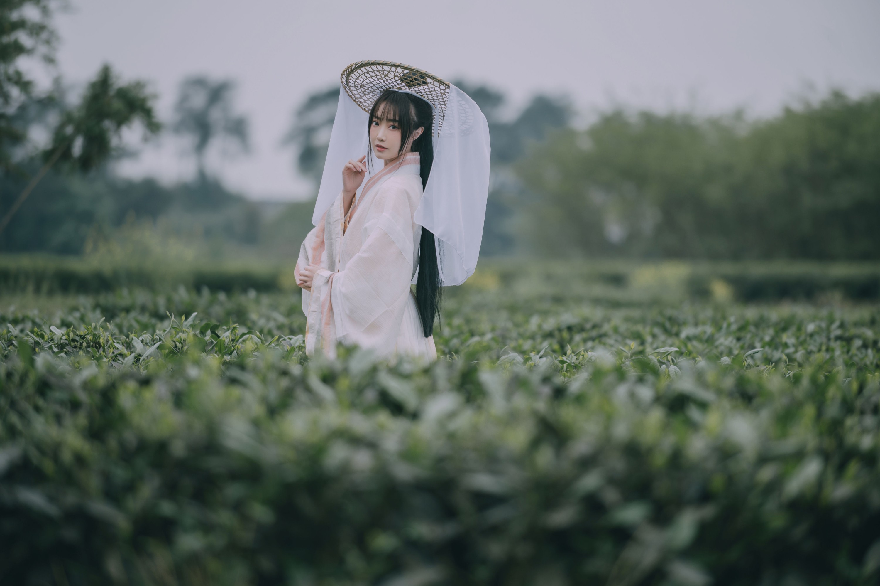 蹭饭 – 《采茶东篱下》[20P]