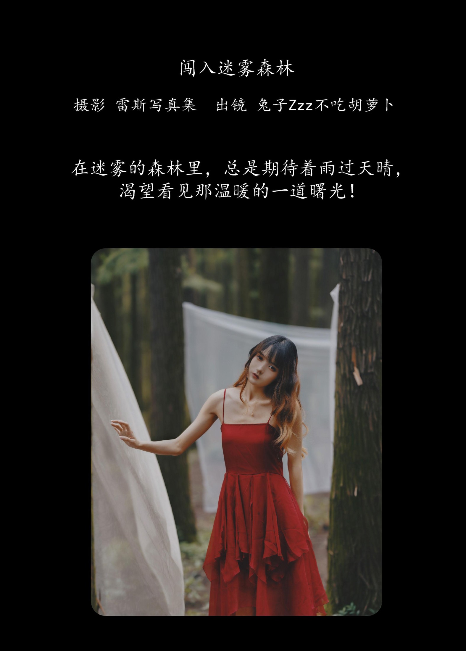 兔子Zzz不吃胡萝卜 – 《闯入迷雾森林》[26P]