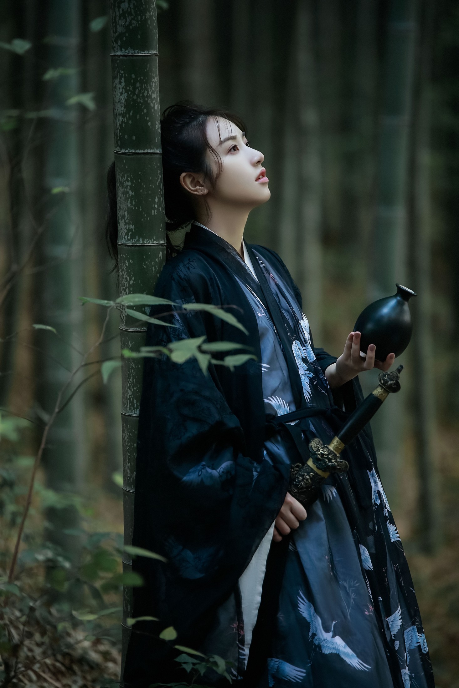 苏苏 – 《逍遥游》[22P]