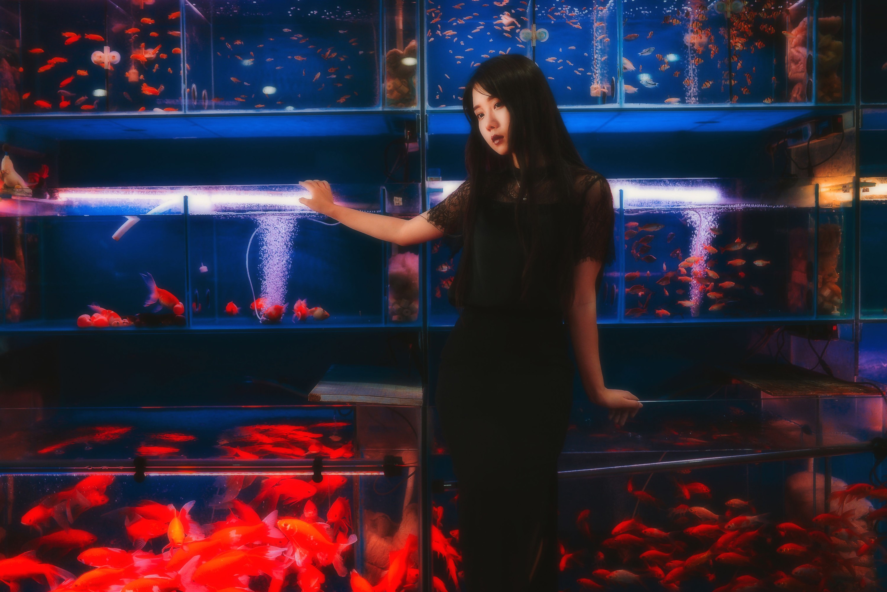 紫卿 – 《鱼》[21P]