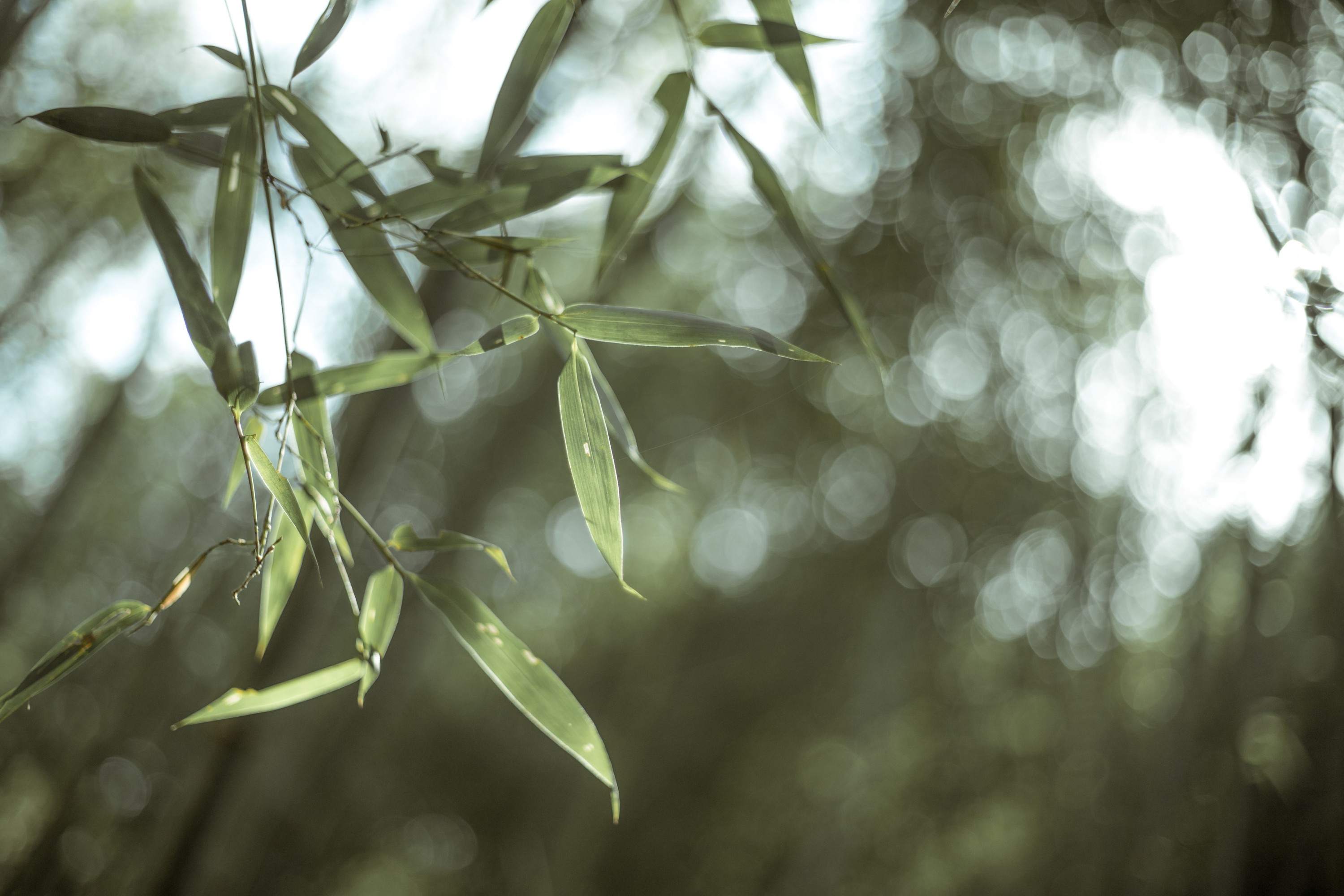 清沅斋 – 《寒山客》[20P]