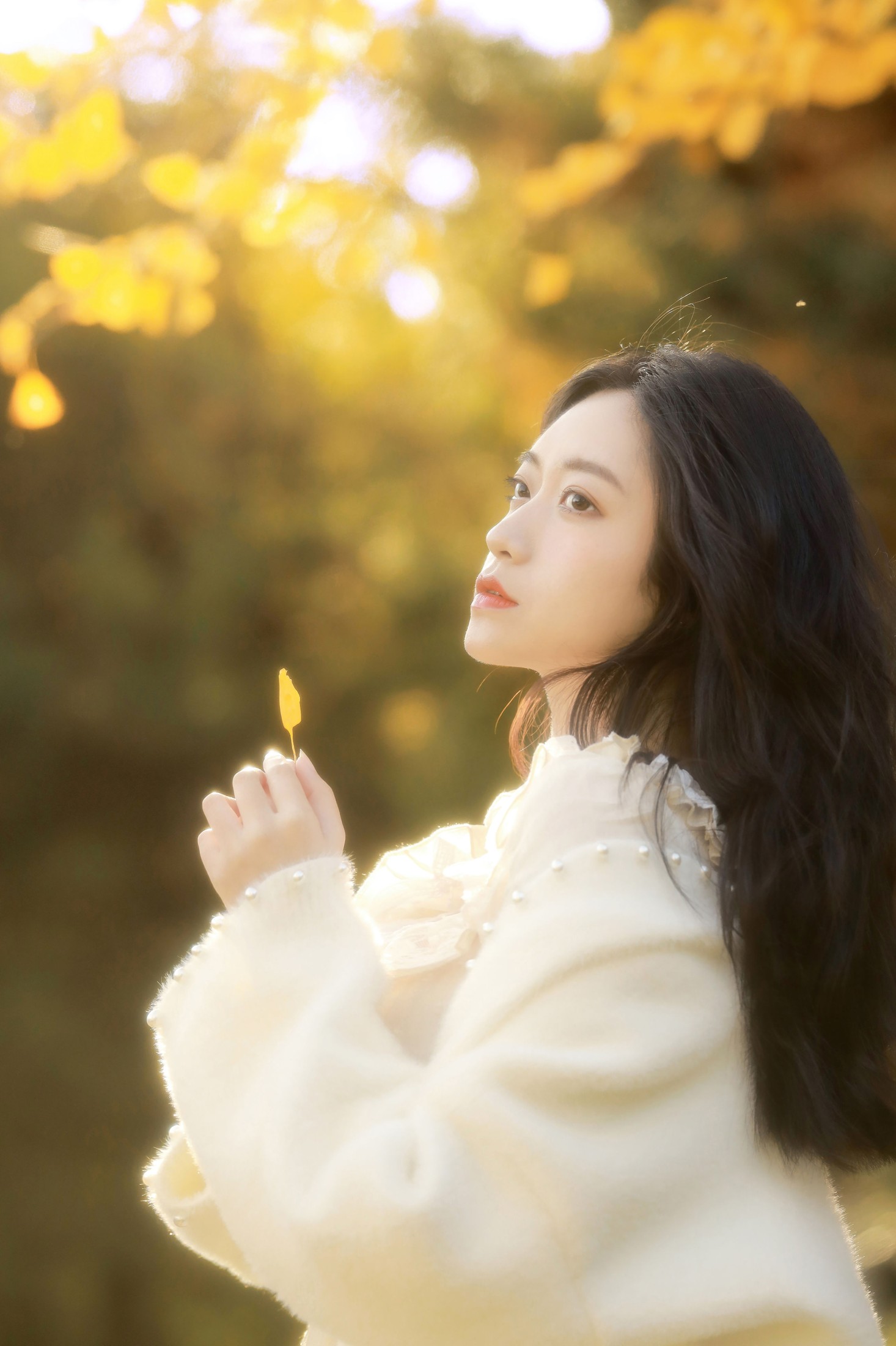 林林 – 《秋末一瞥》[20P]