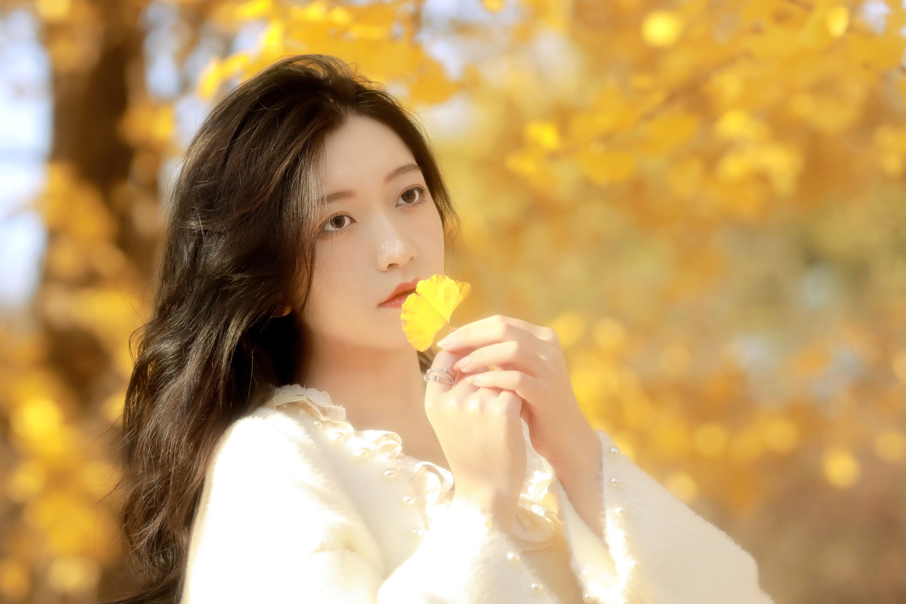 林林 – 《秋末一瞥》[20P]