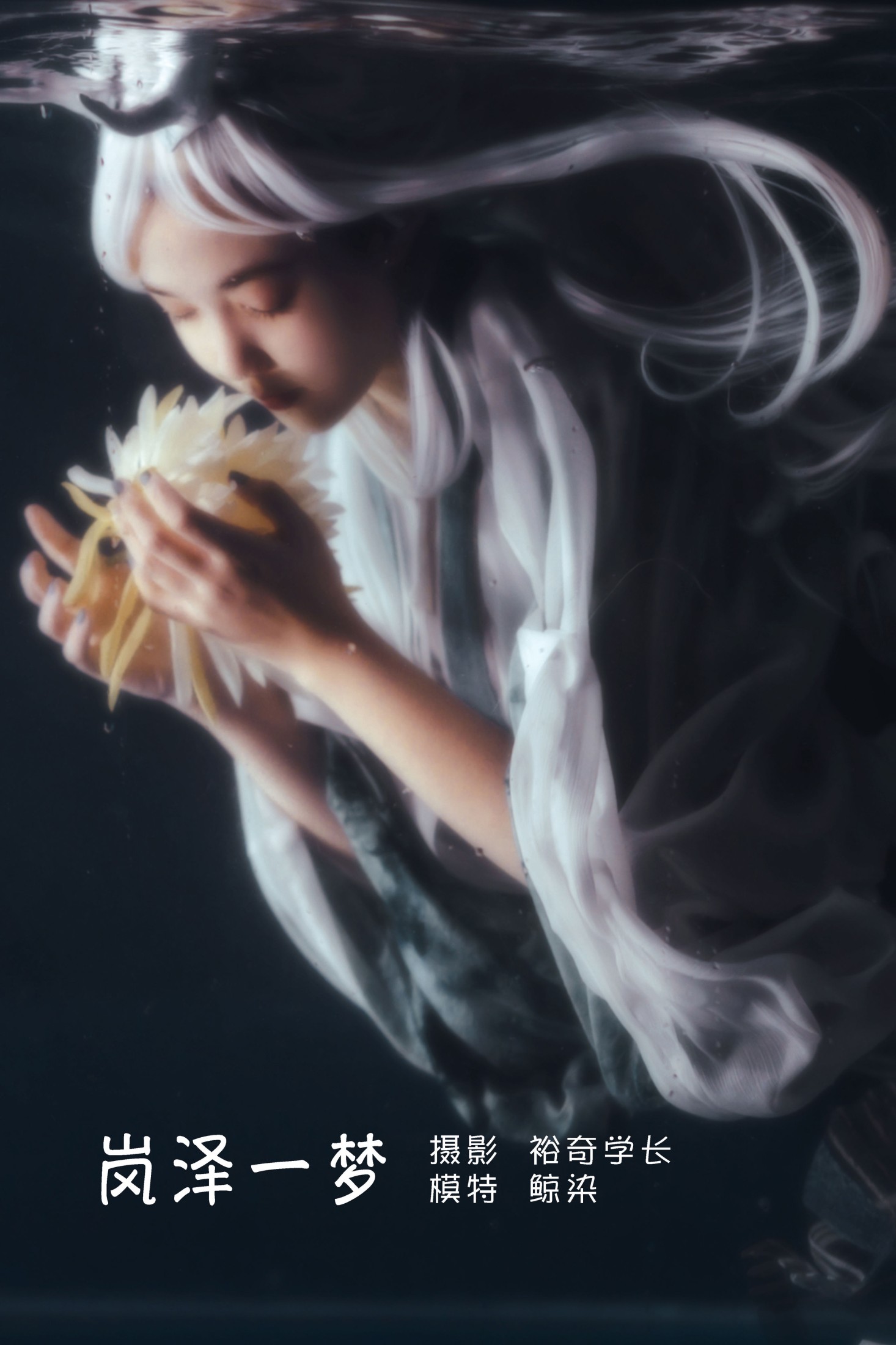 鲸染 – 《岚泽一梦》[20P]