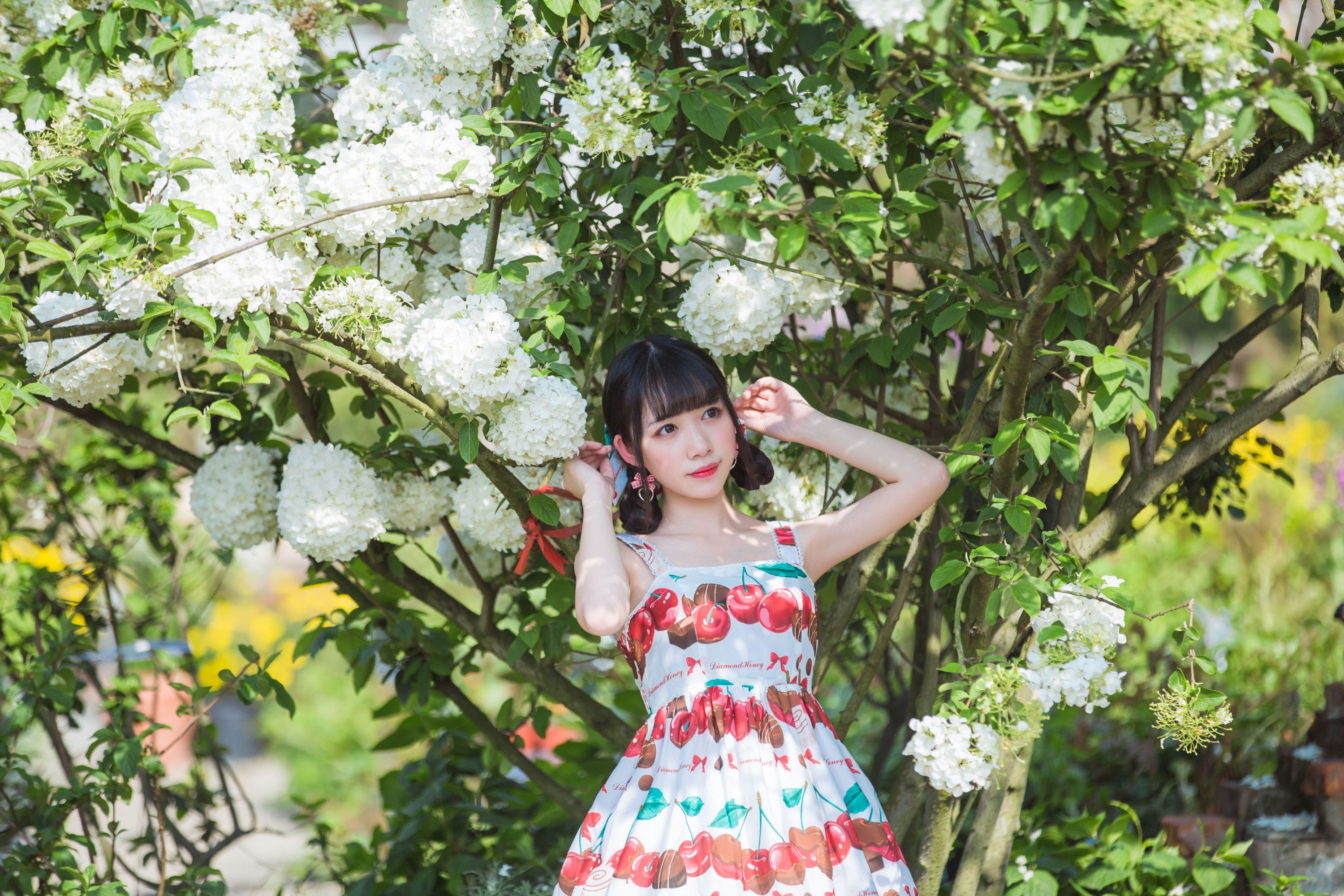 小风加载中 – 《绣球花》[43P]