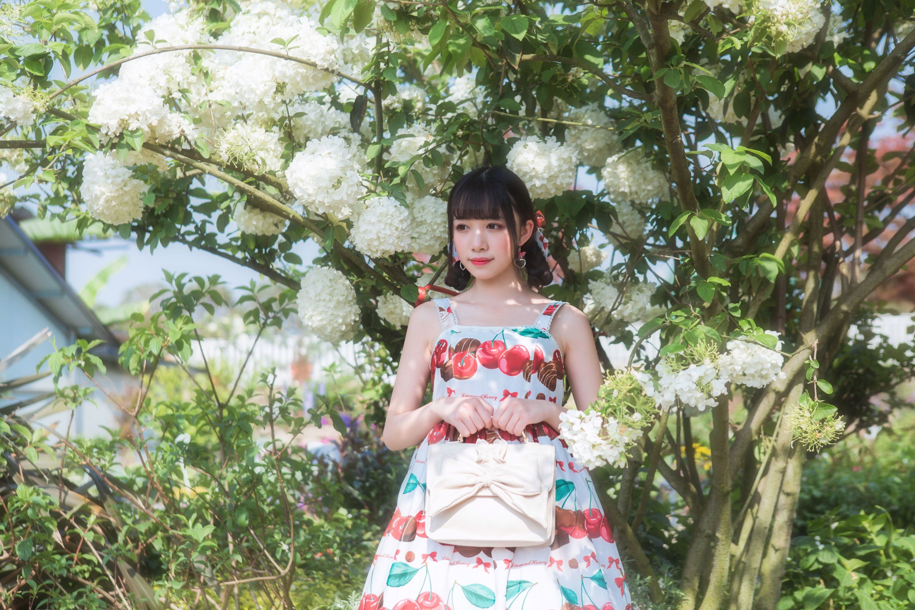 小风加载中 – 《绣球花》[43P]