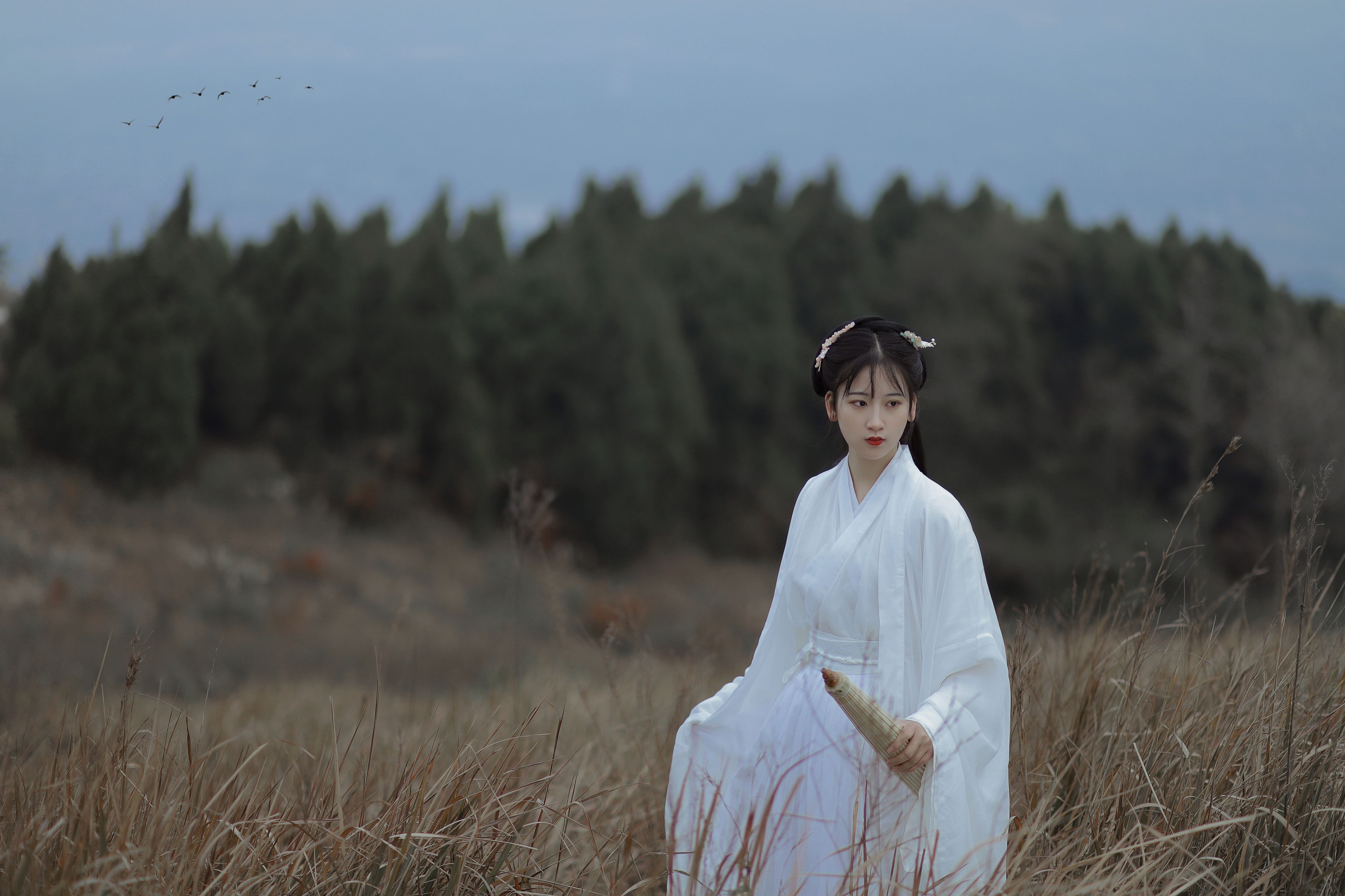 半夏夏夏 – 《山河故人》[30P]