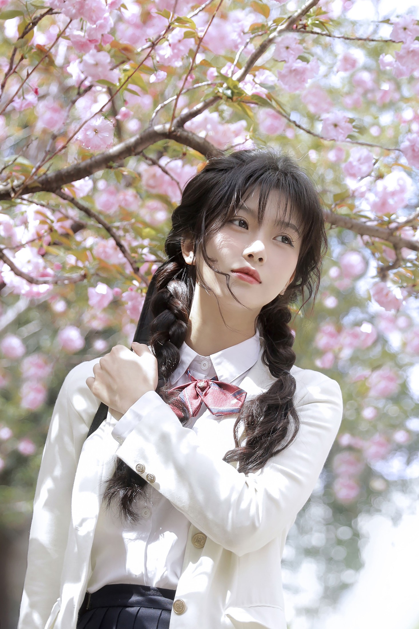 聂十三 – 《繁樱一树》[21P]