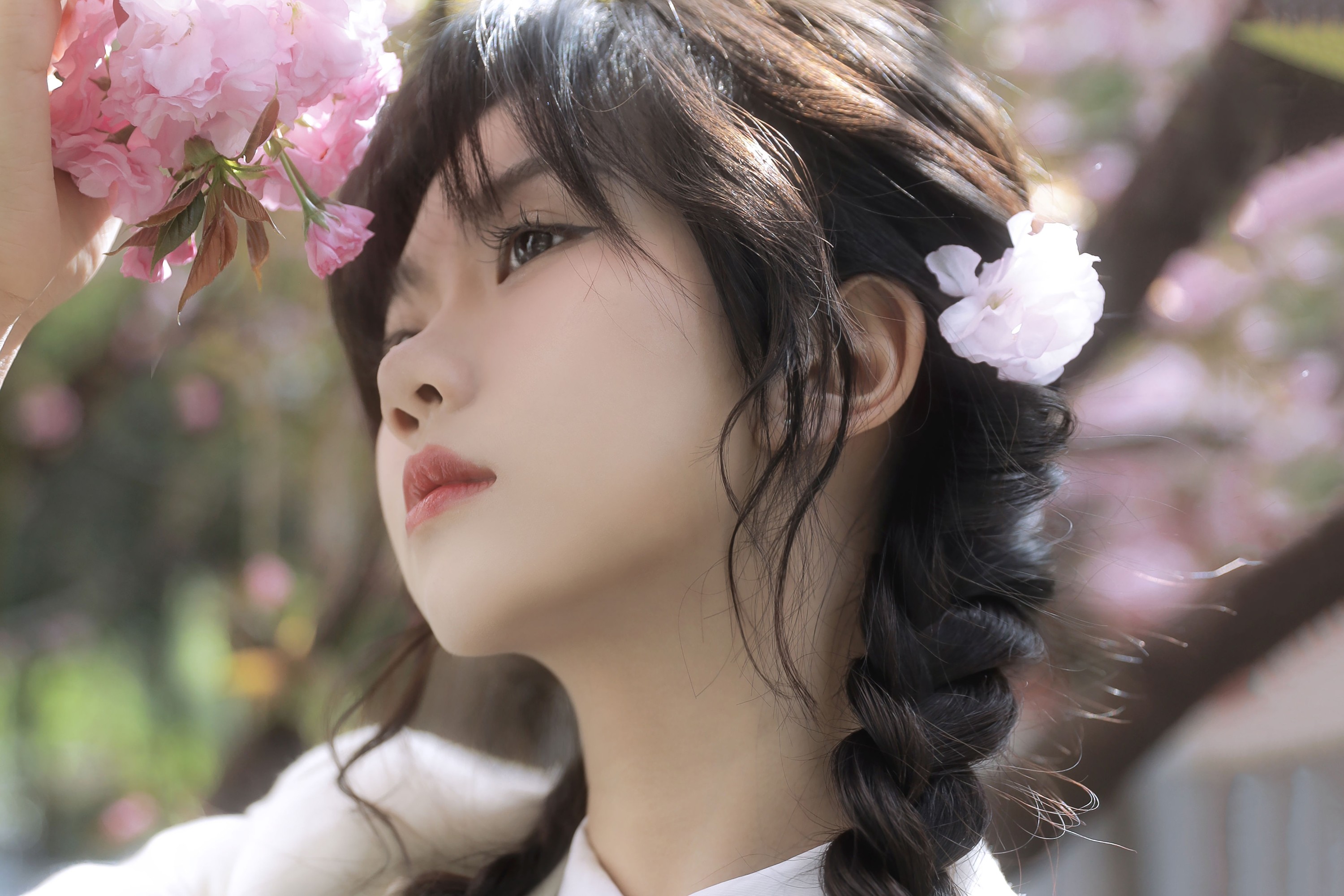 聂十三 – 《繁樱一树》[21P]