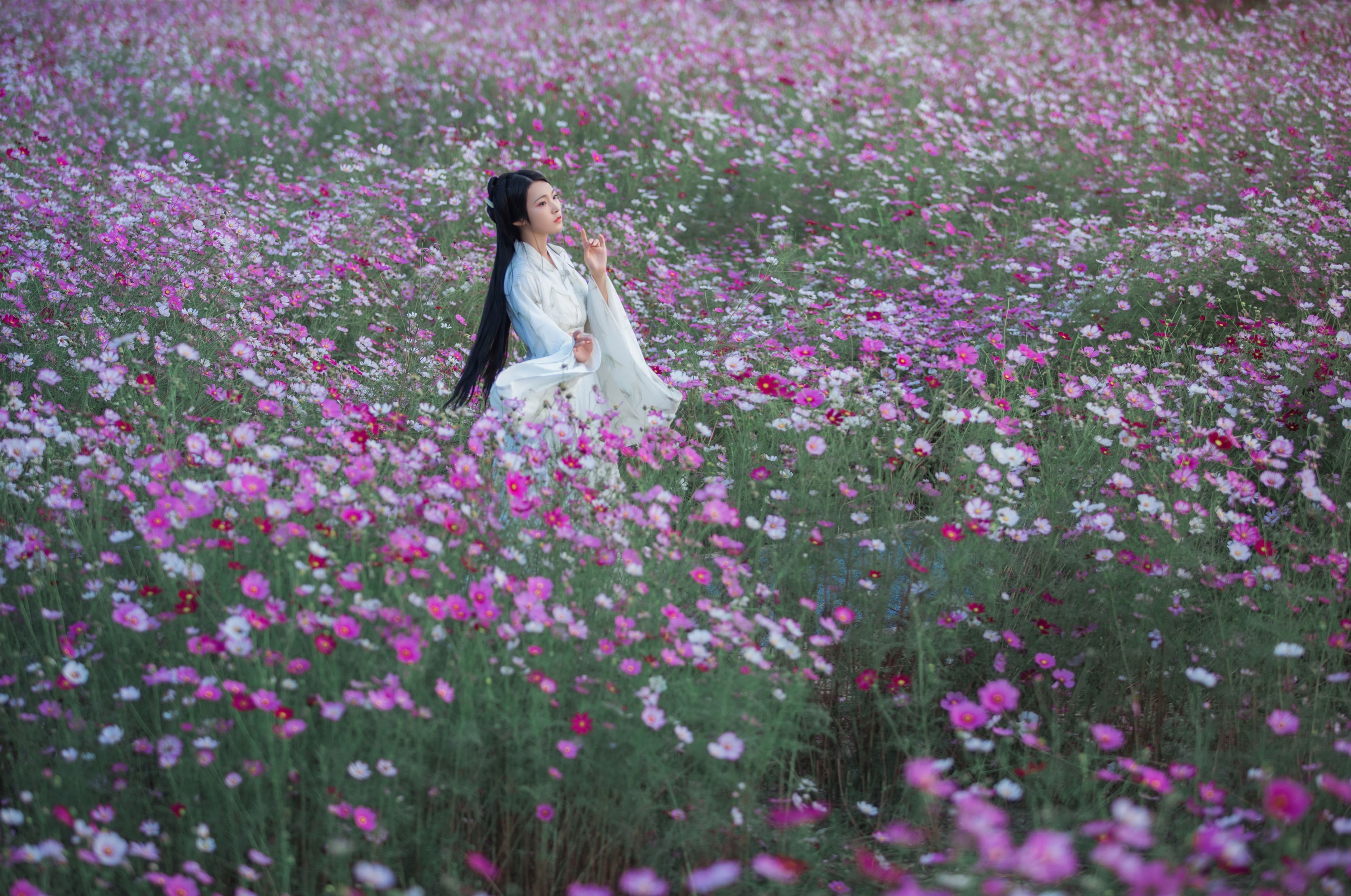 超困的鹿 – 《娑萝》[22P] 插图4