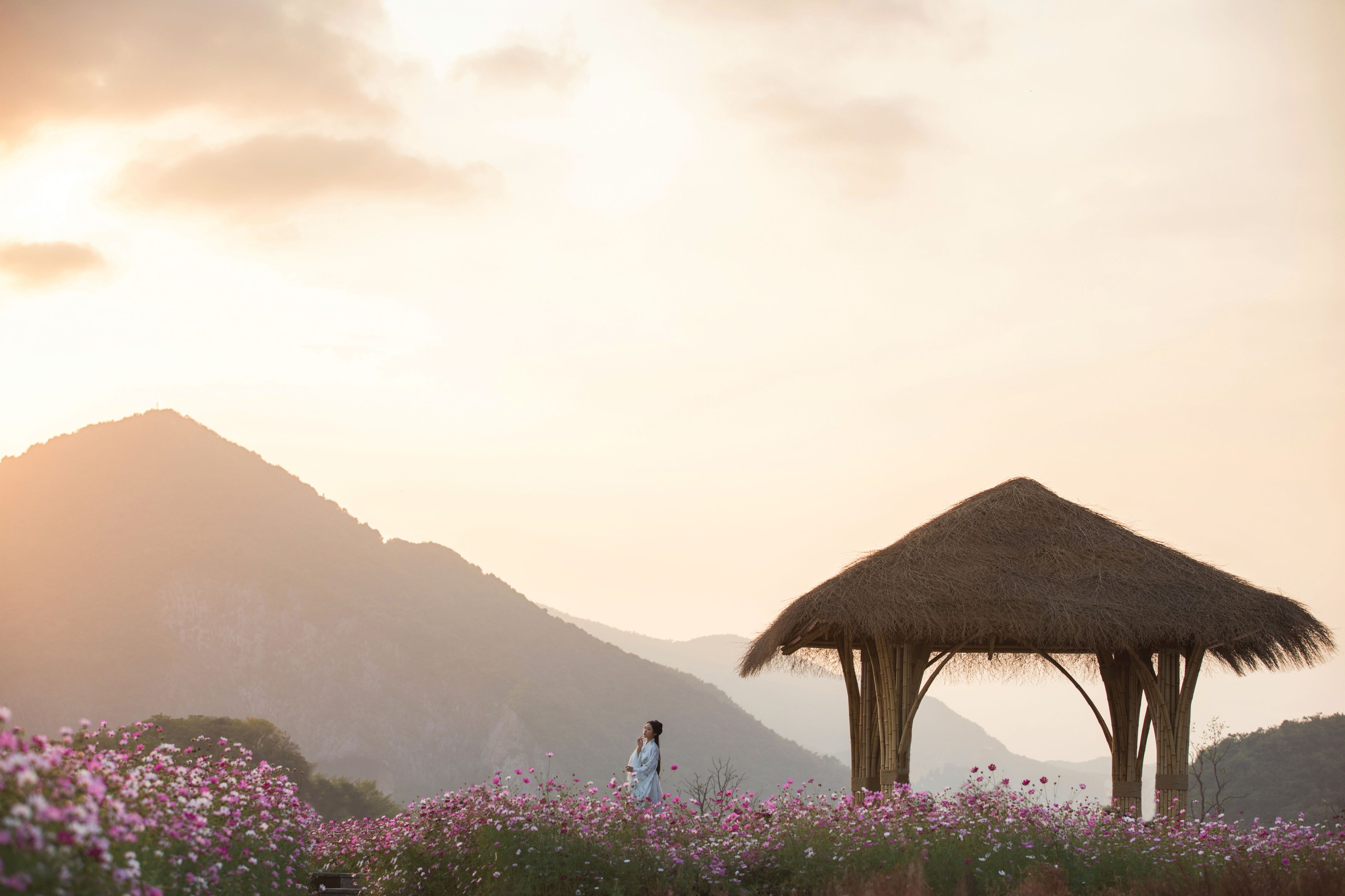 超困的鹿 – 《娑萝》[22P] 插图5