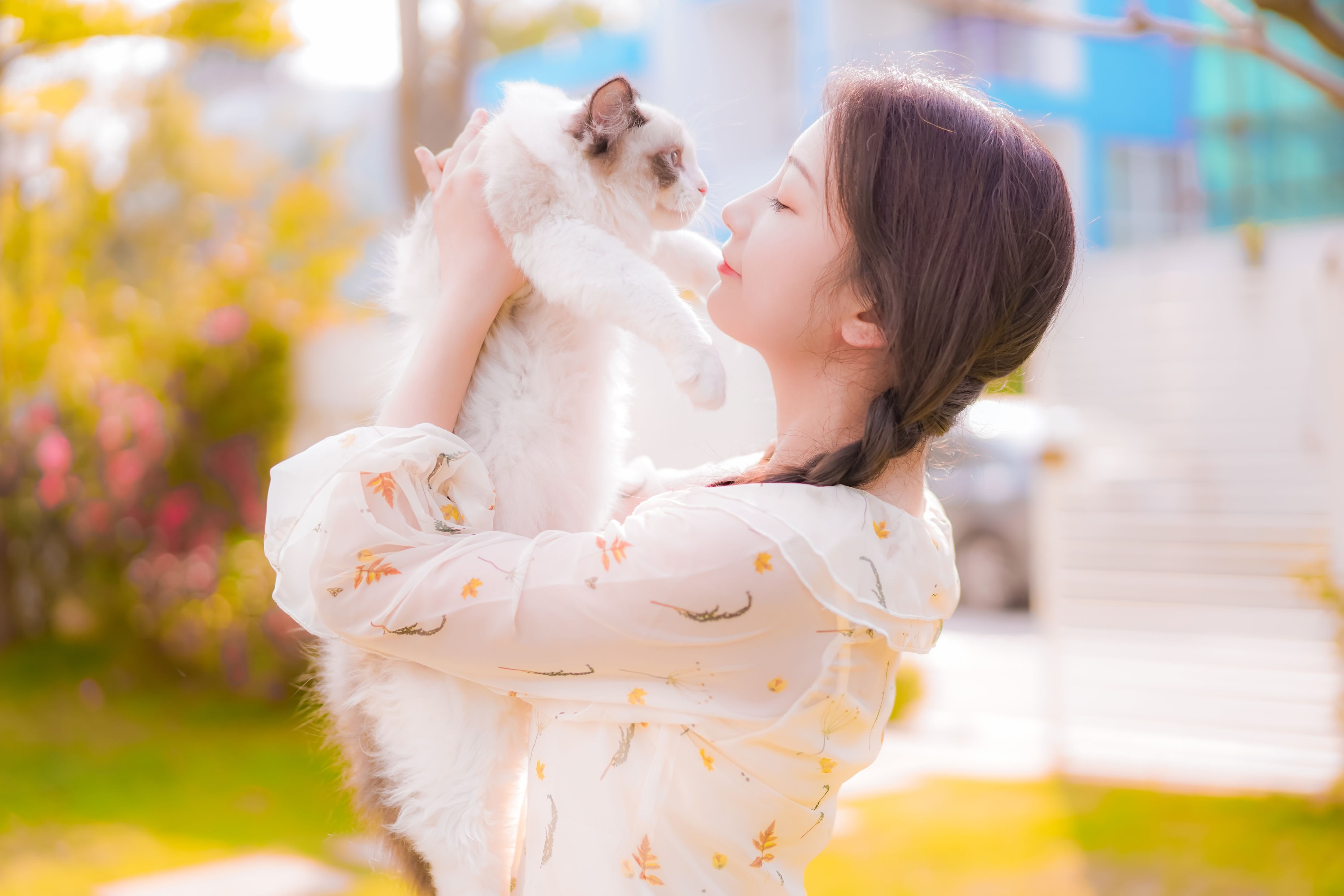 Faye – 《午后的温柔》[31P]