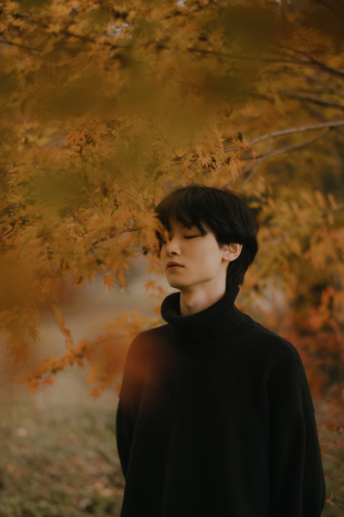 阿末 – 《秋语》[20P]