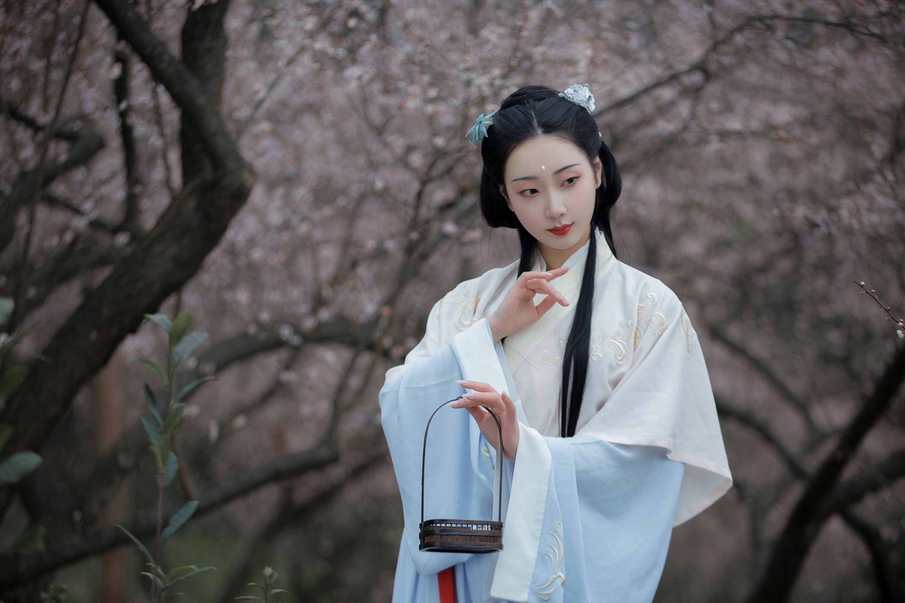 清音音音音 – 《清佳》[27P]