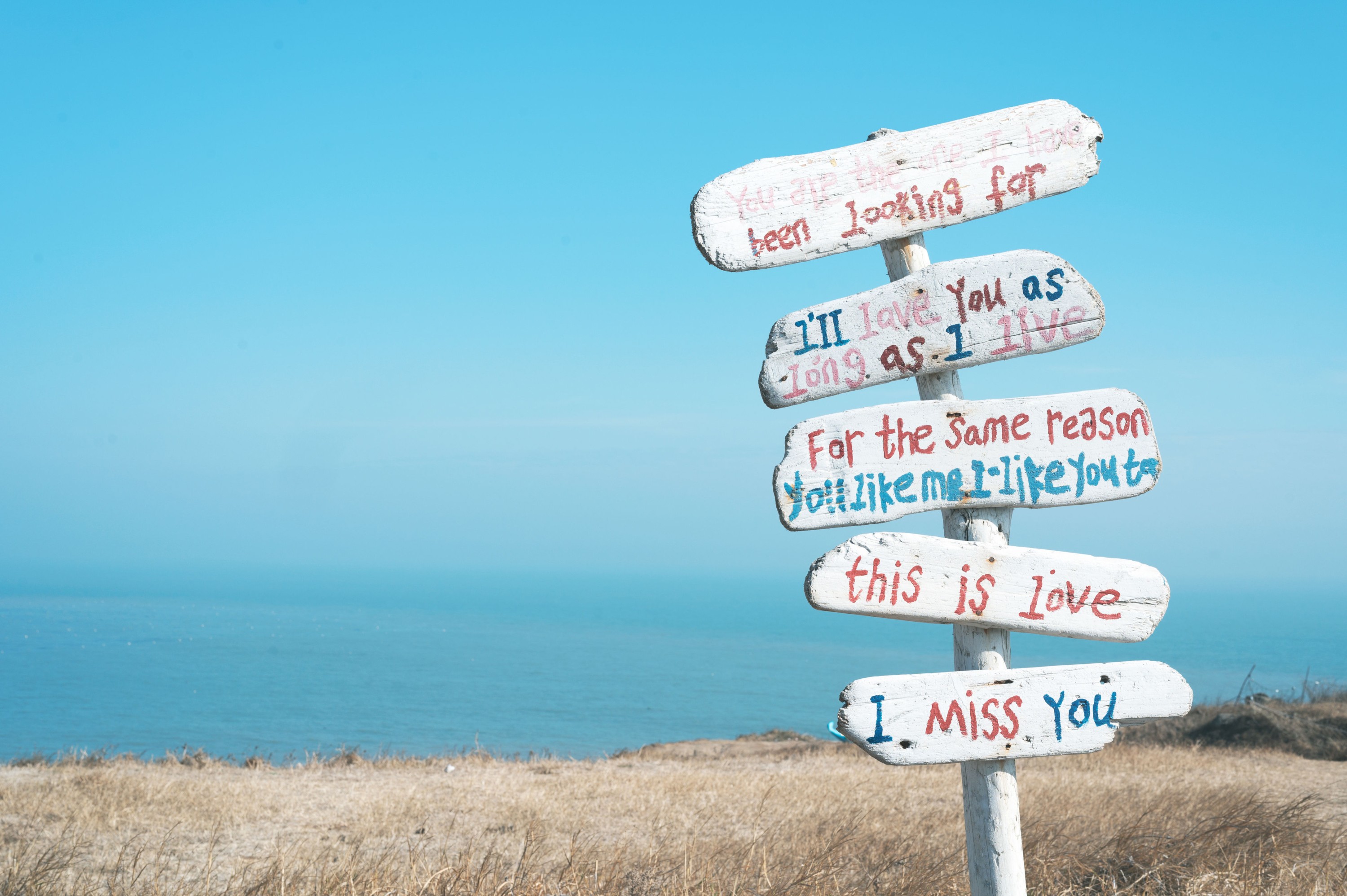 兔子Zzz不吃胡萝卜 – 《奔向海角》[25P]