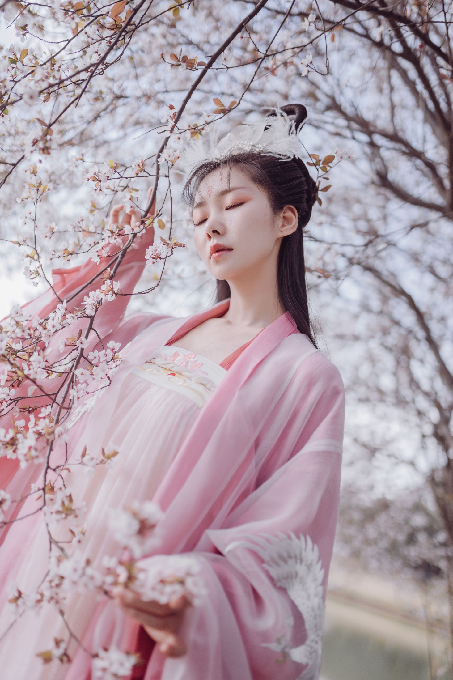 木哥 – 《香雪海》[25P]