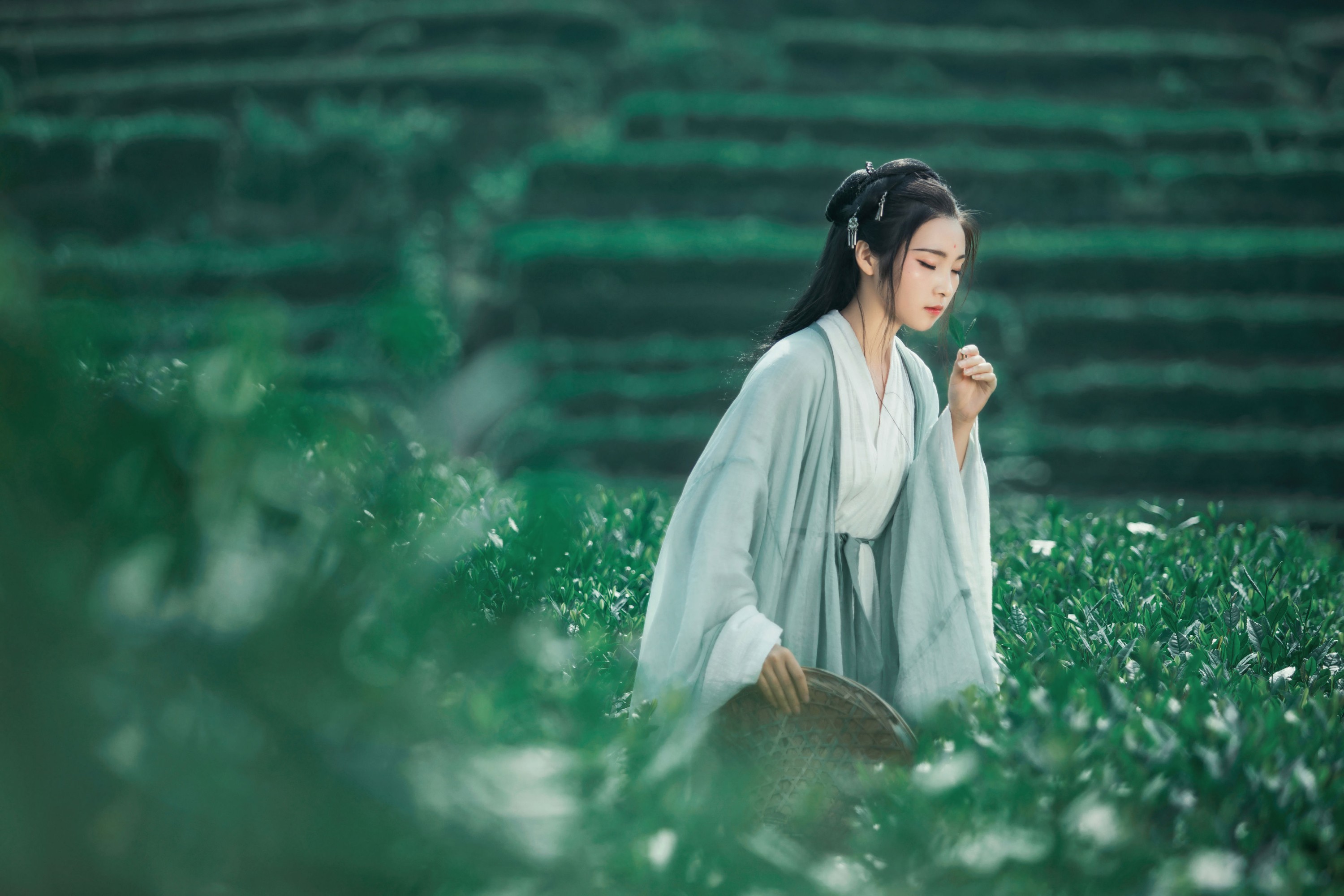 超困的鹿 – 《茶山》[32P]