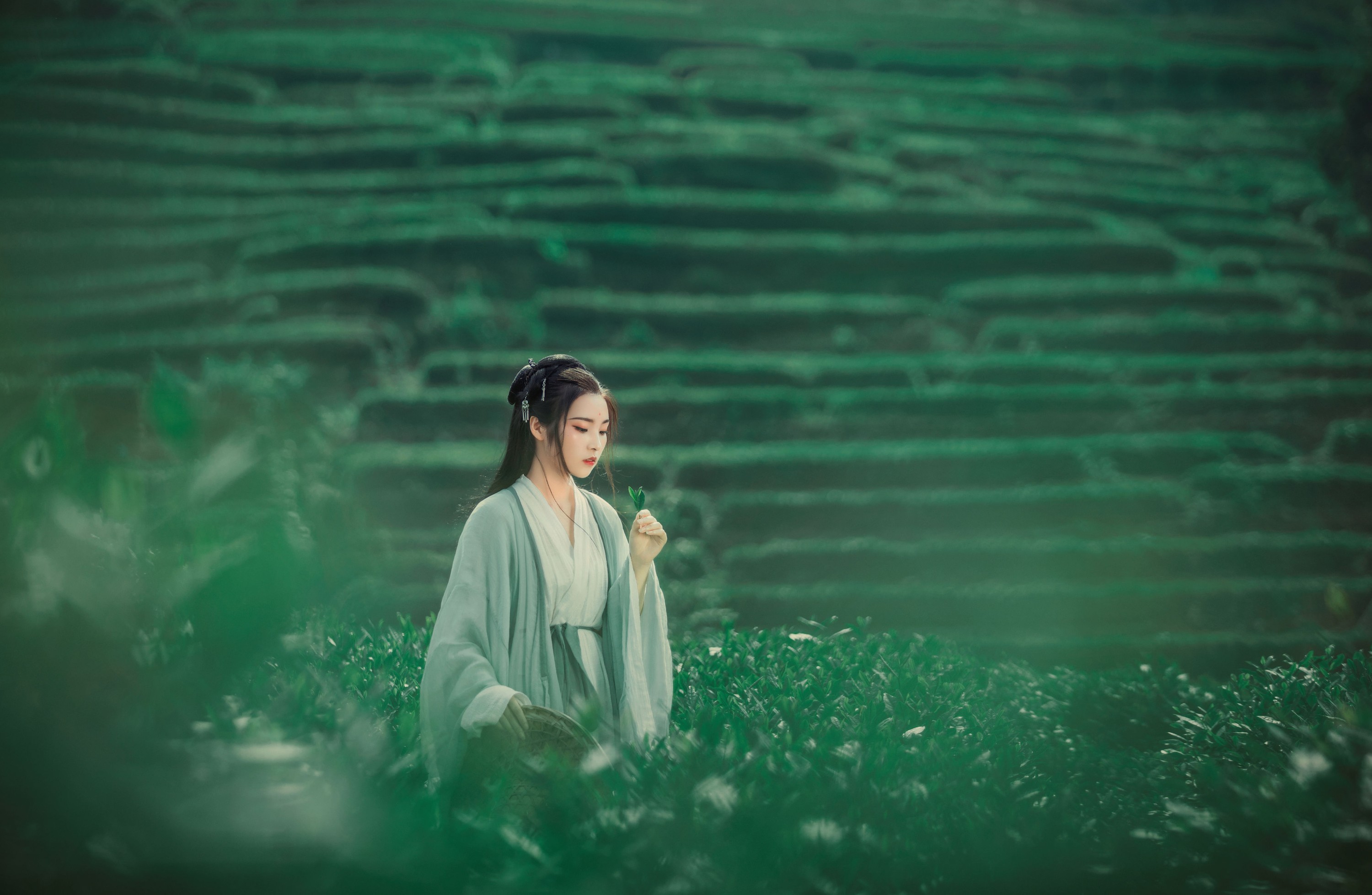 超困的鹿 – 《茶山》[32P]