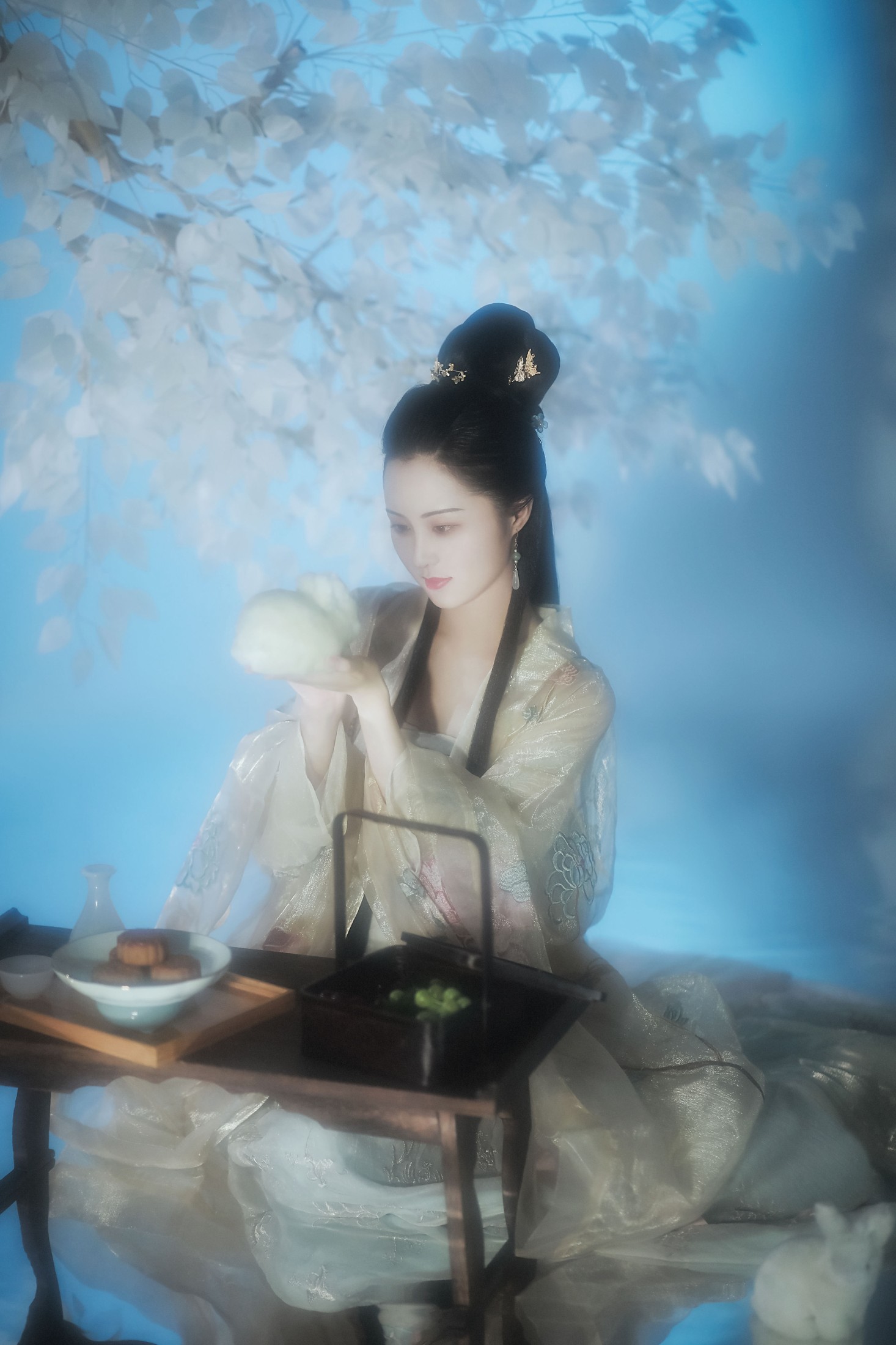 鱿鱼阿姨 – 《广寒宫》[25P]