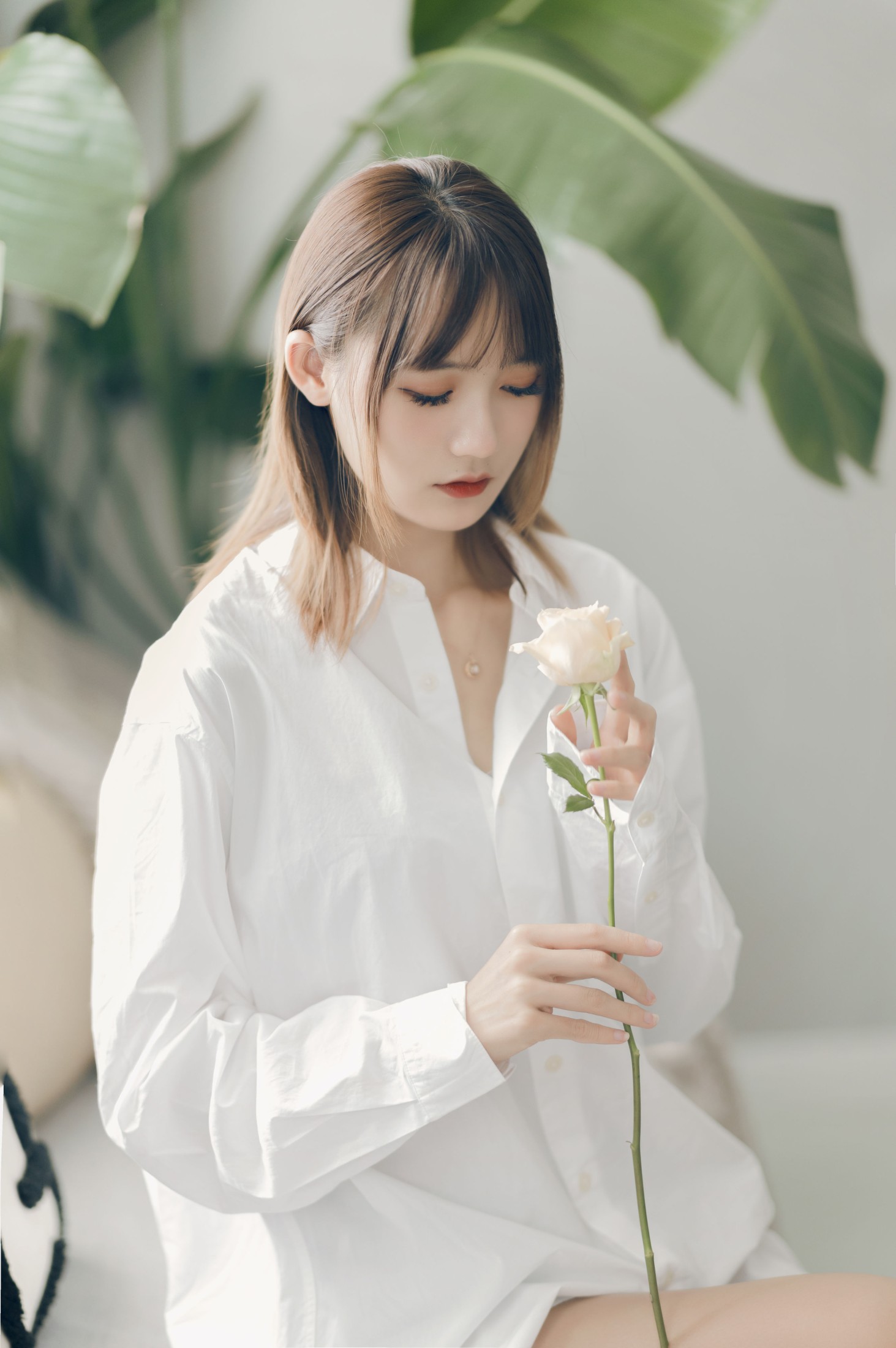 兔子Zzz不吃胡萝卜 – 《你的味道》[37P]