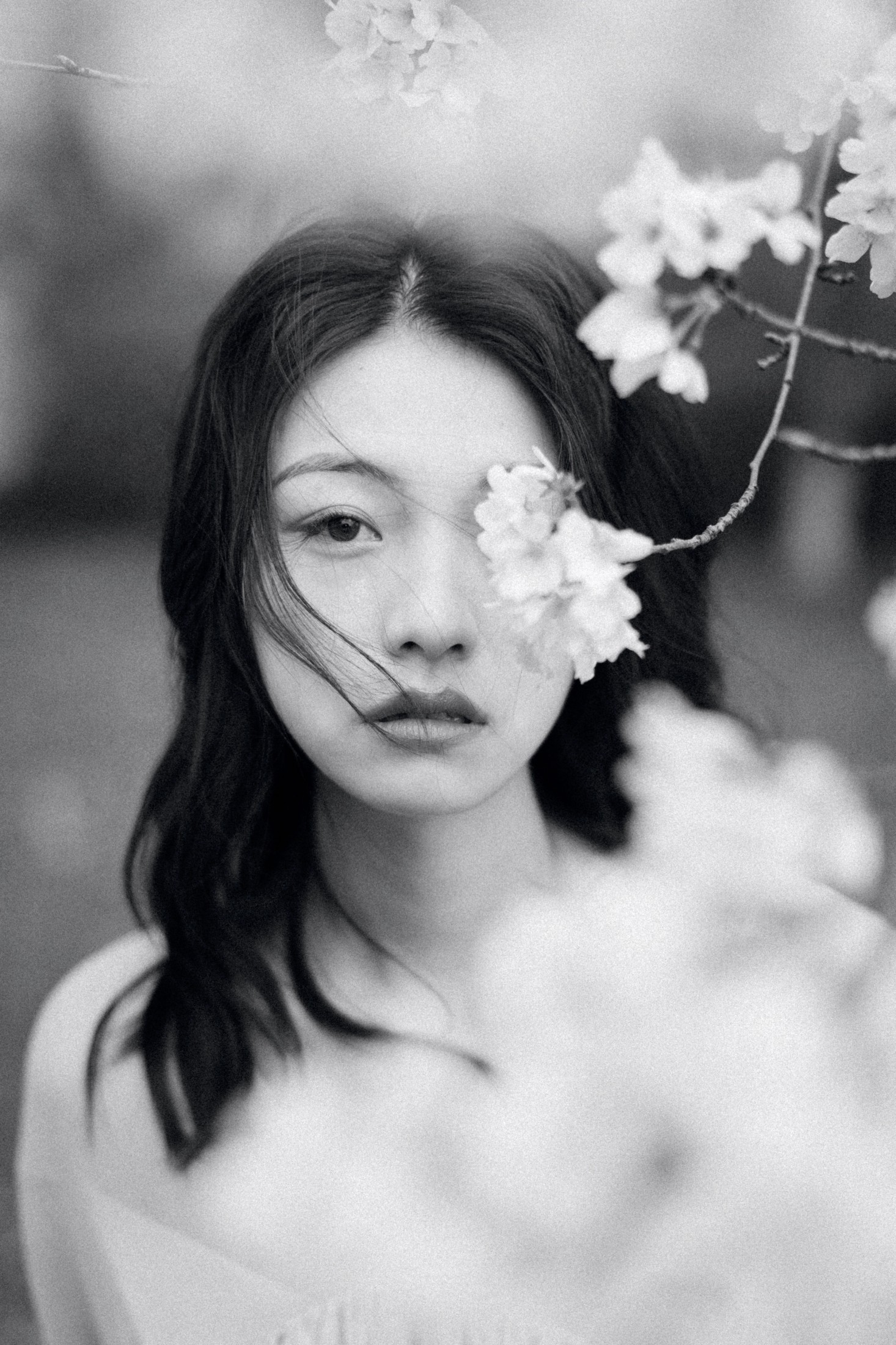 九月 – 《落樱缤纷》[28P]