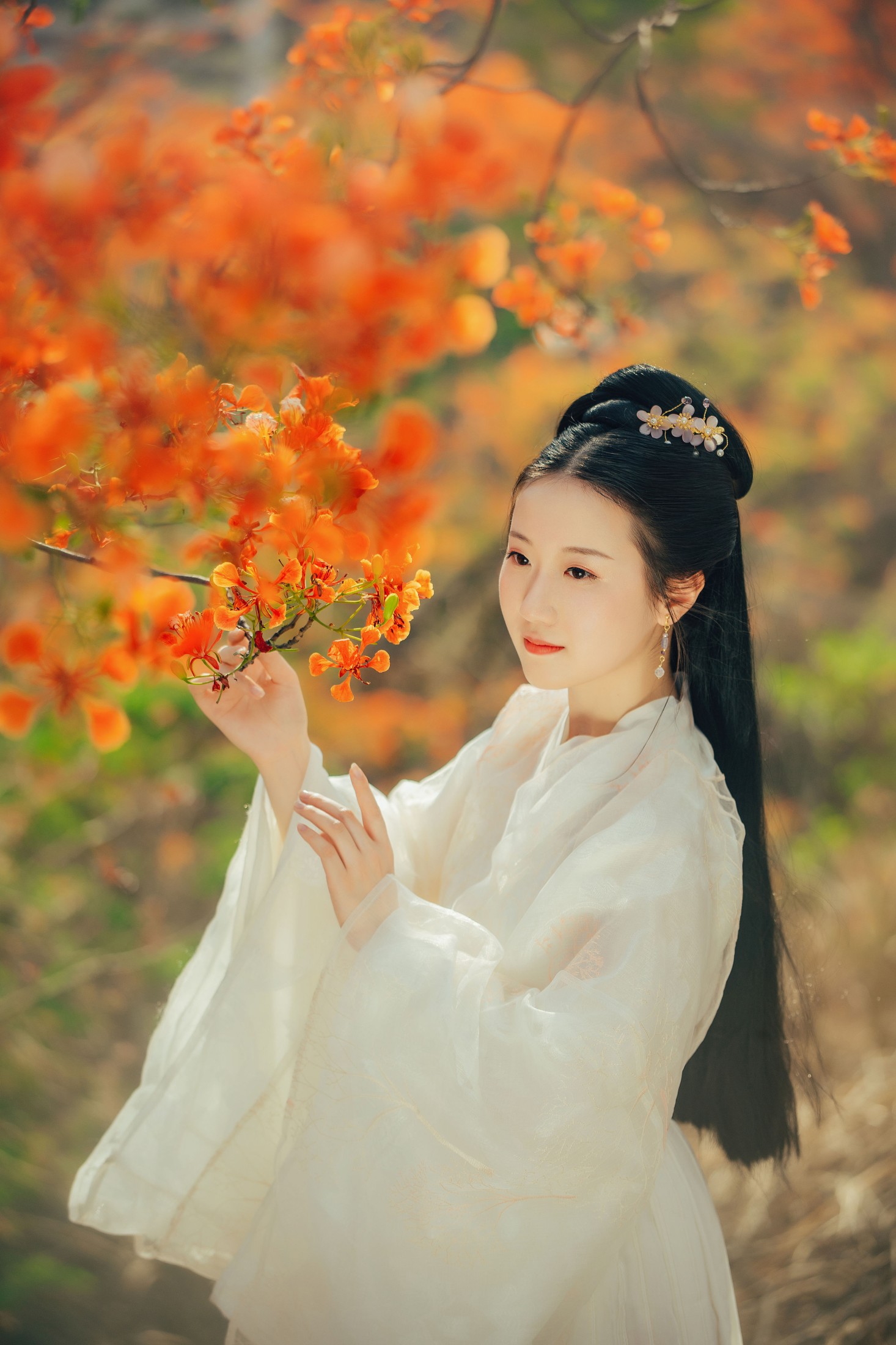 粥米饭 – 《凤凰花开》[26P]