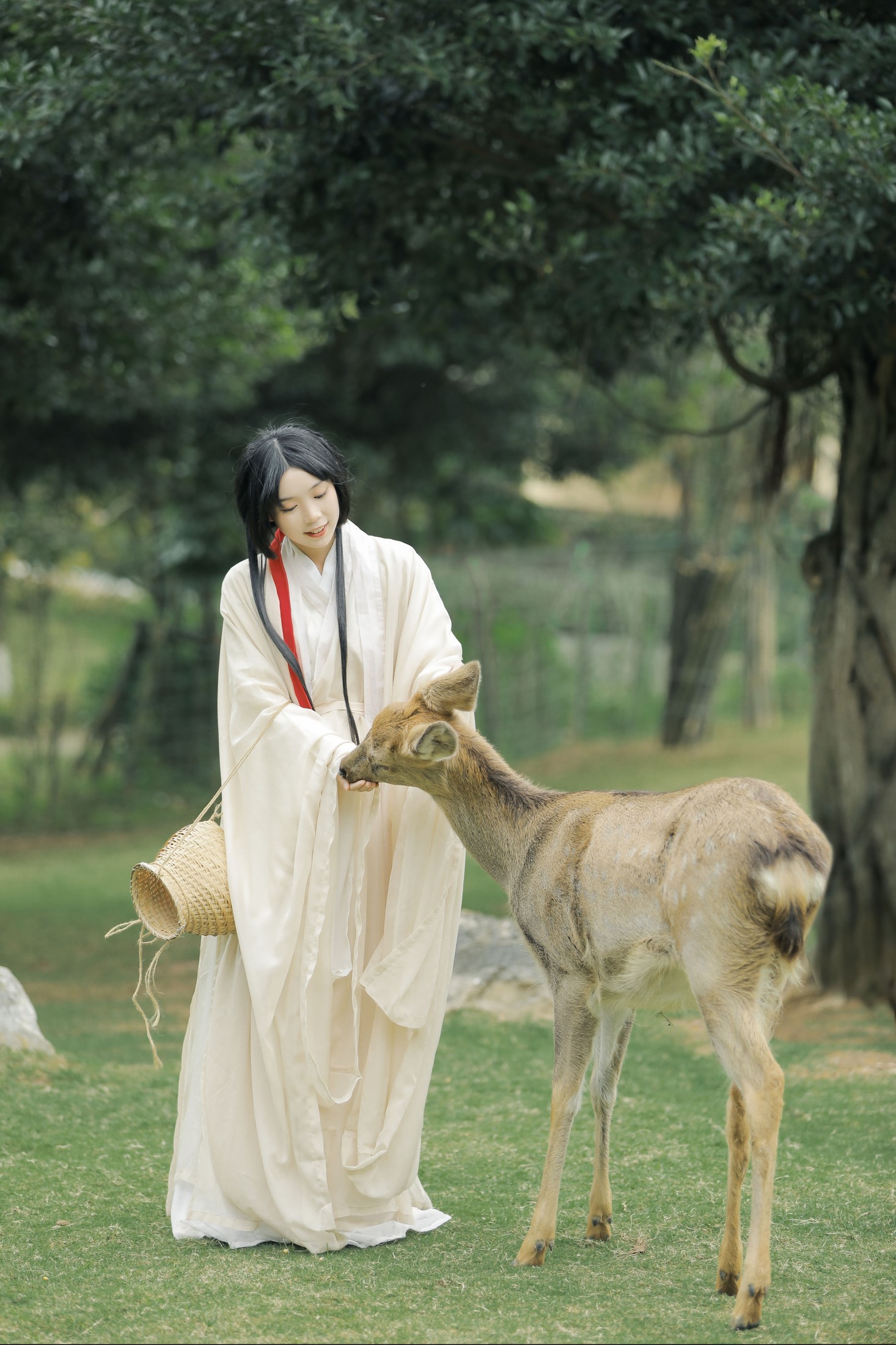 槐枝- – 《鹿鸣》[27P]