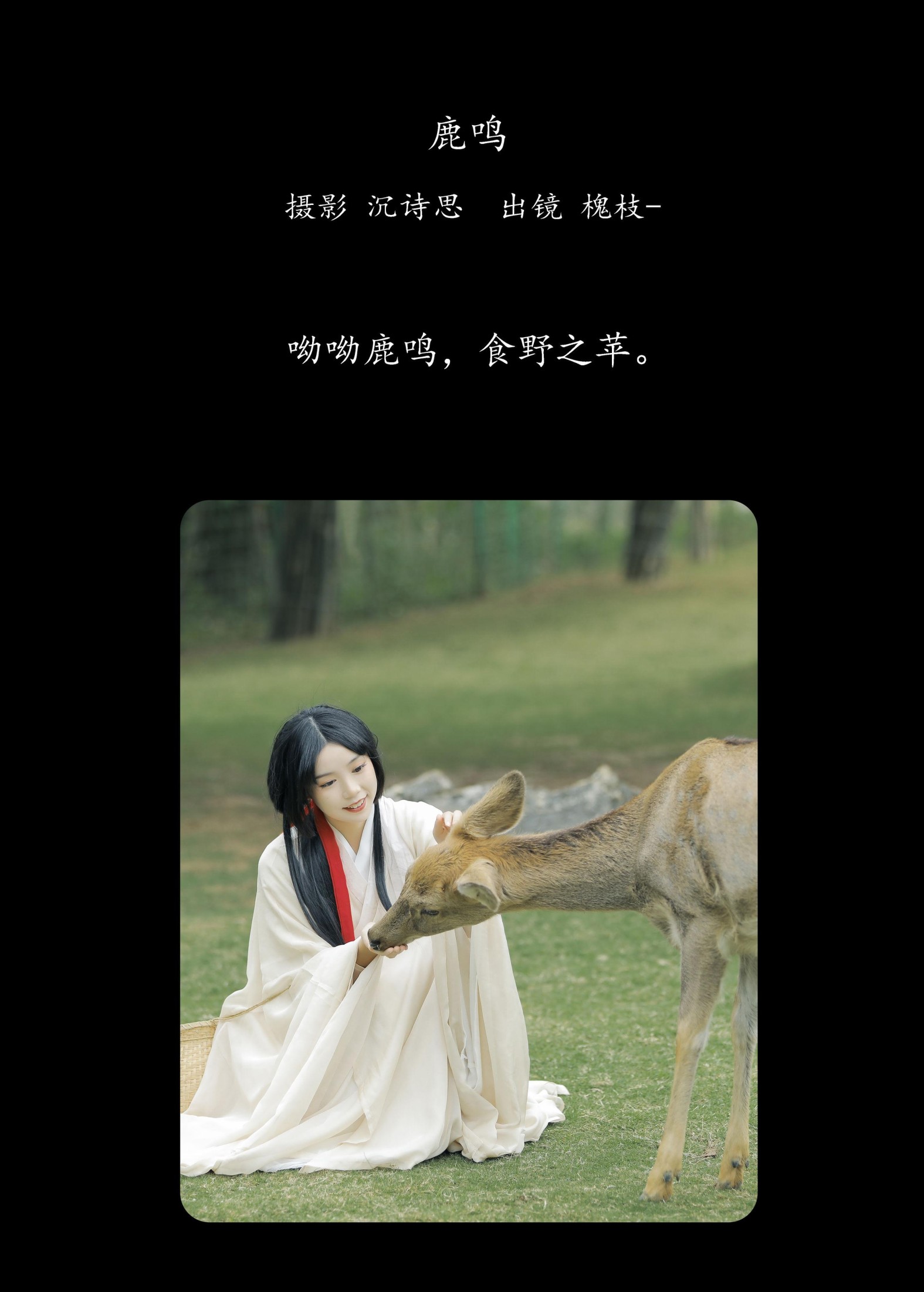 槐枝- – 《鹿鸣》[27P]