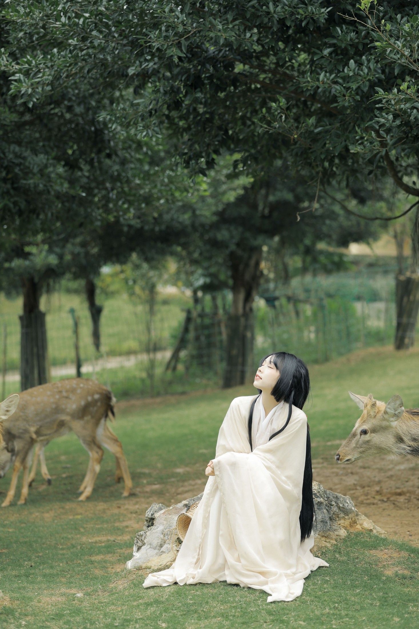 槐枝- – 《鹿鸣》[27P]