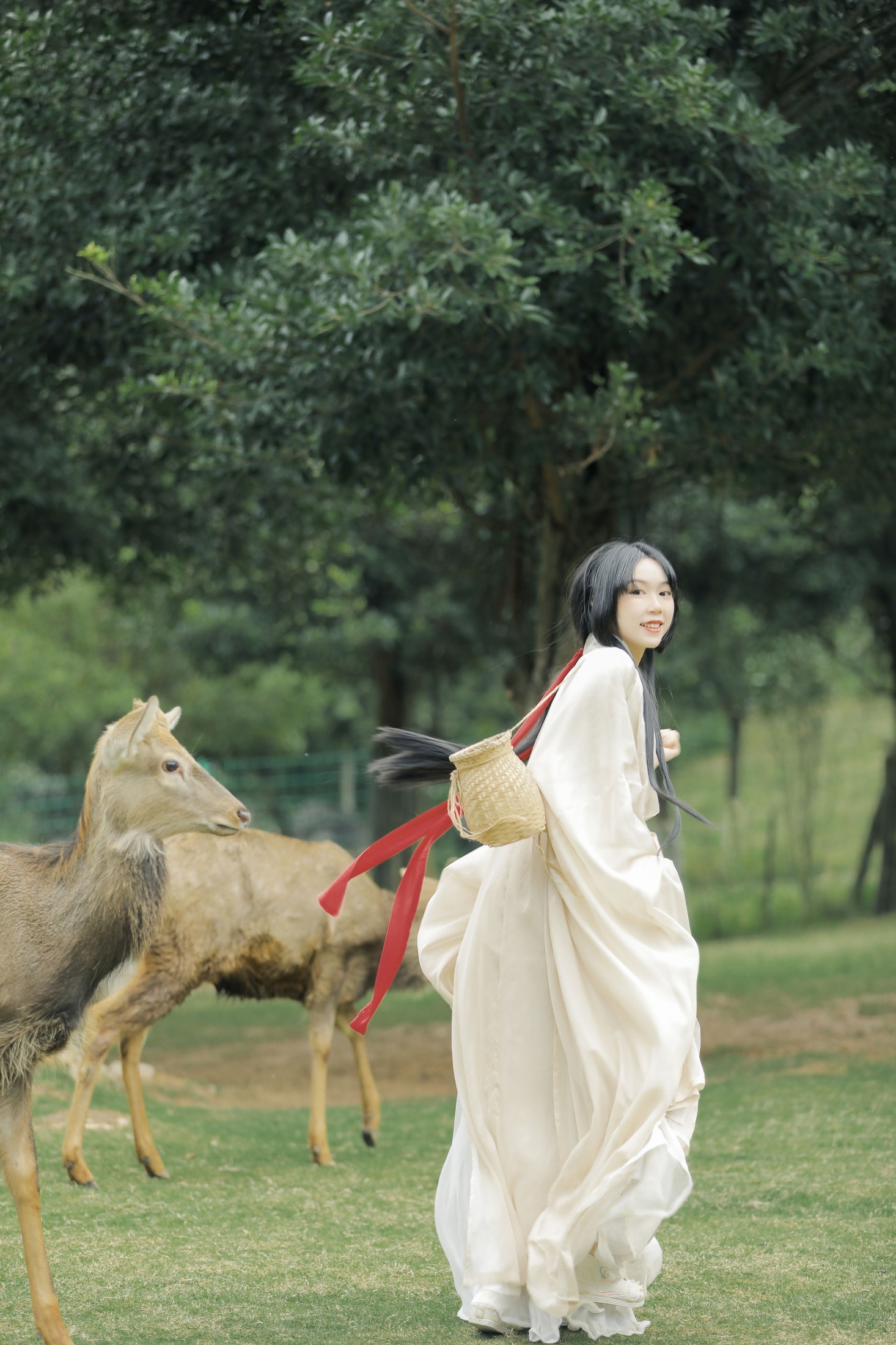 槐枝- – 《鹿鸣》[27P]