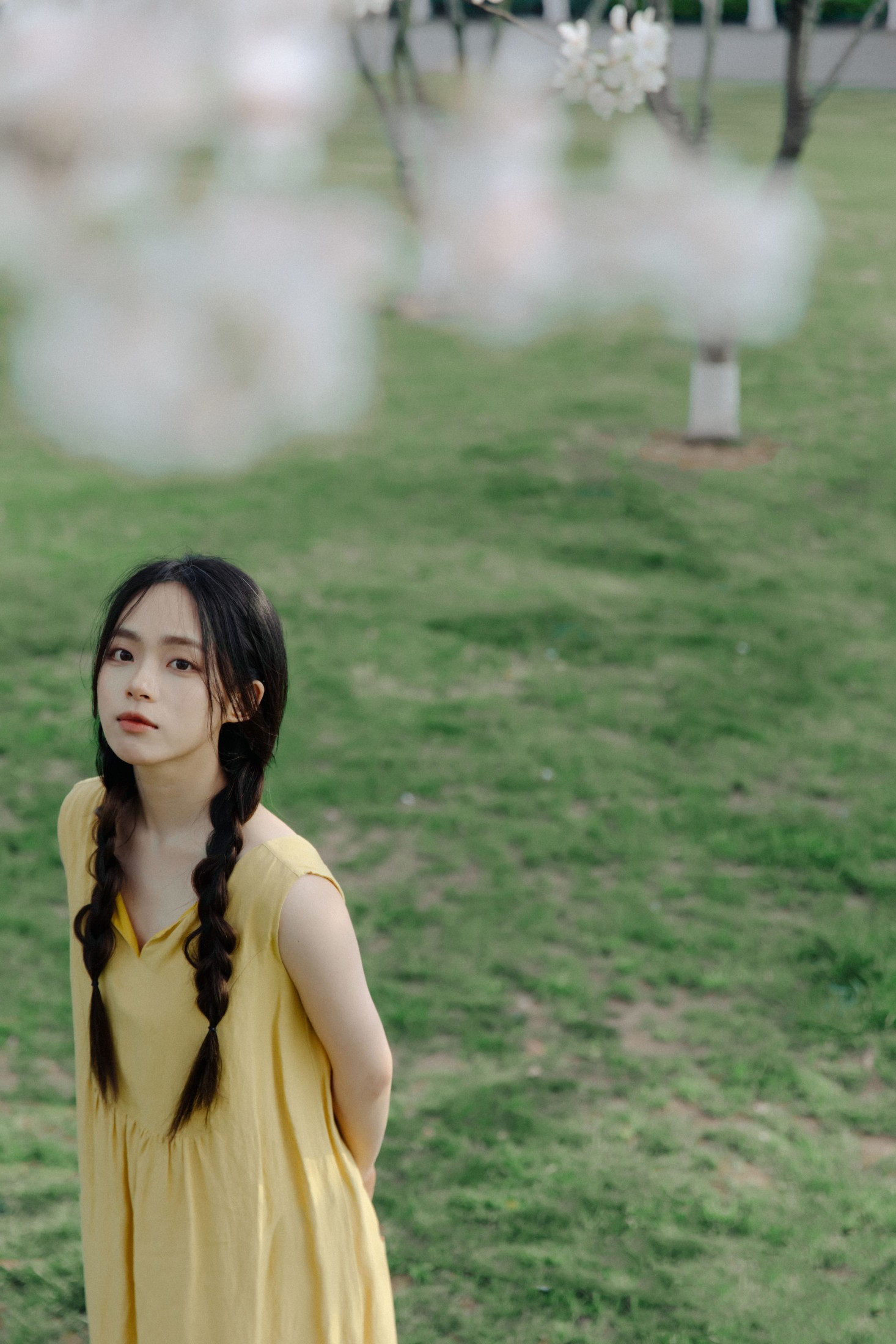 九麻MAA – 《遇见初樱》[27P]