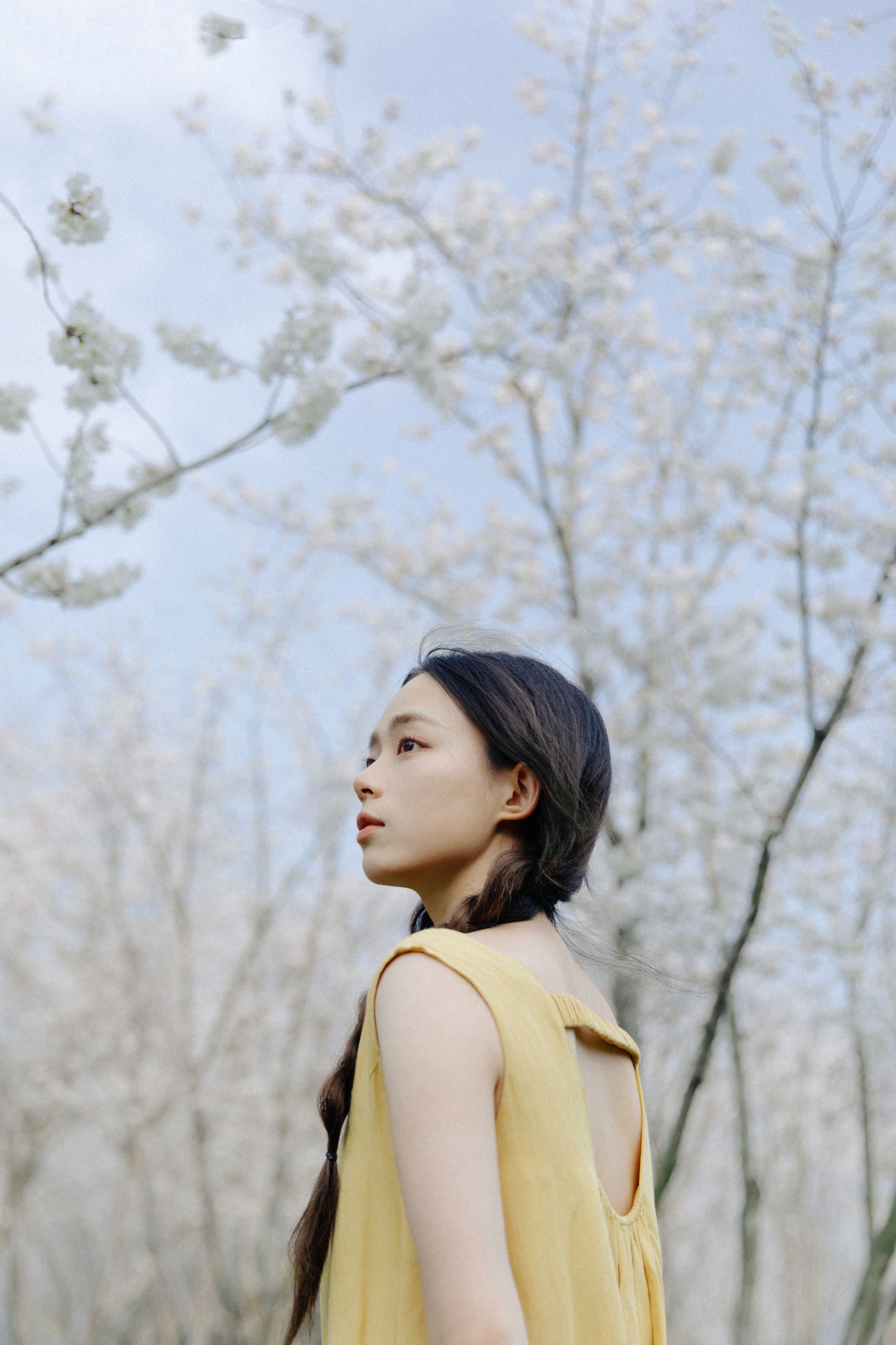 九麻MAA – 《遇见初樱》[27P]