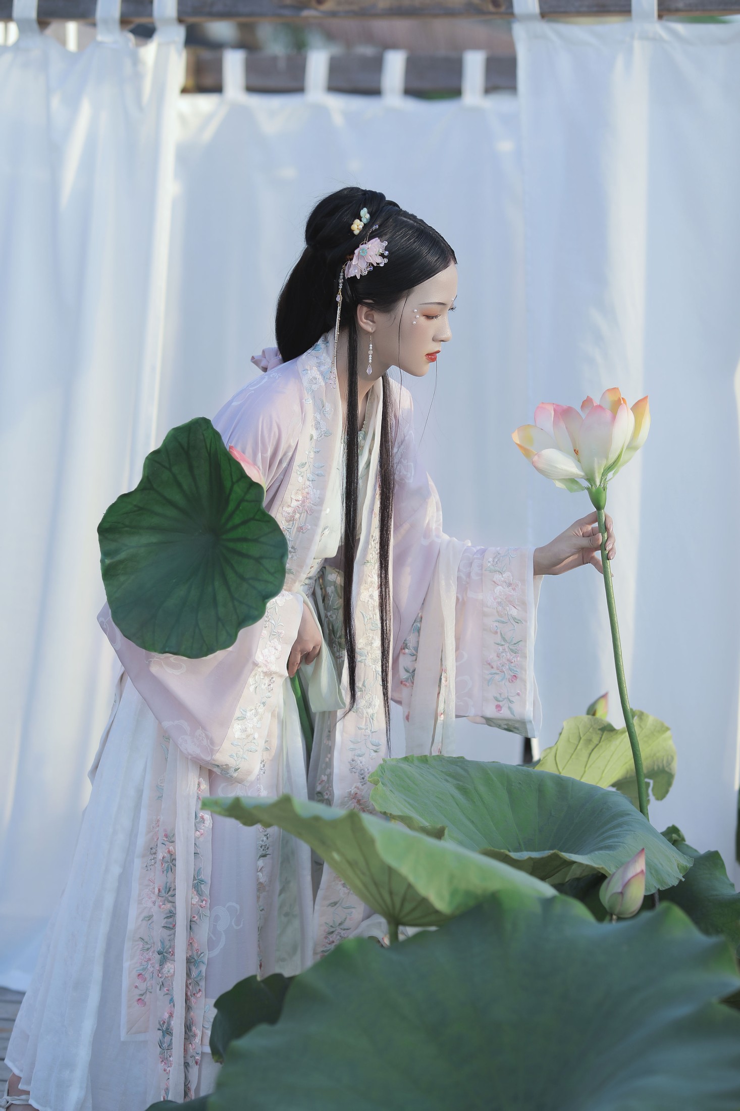 ella – 《芙蓉》[23P]