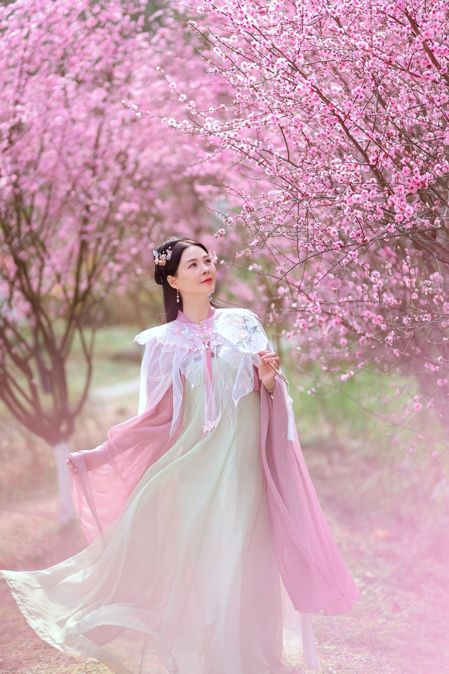 阿莲 – 《暖春樱色》[38P]